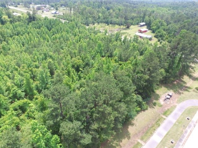 XX NW County Road 12, Bristol, Florida image 6