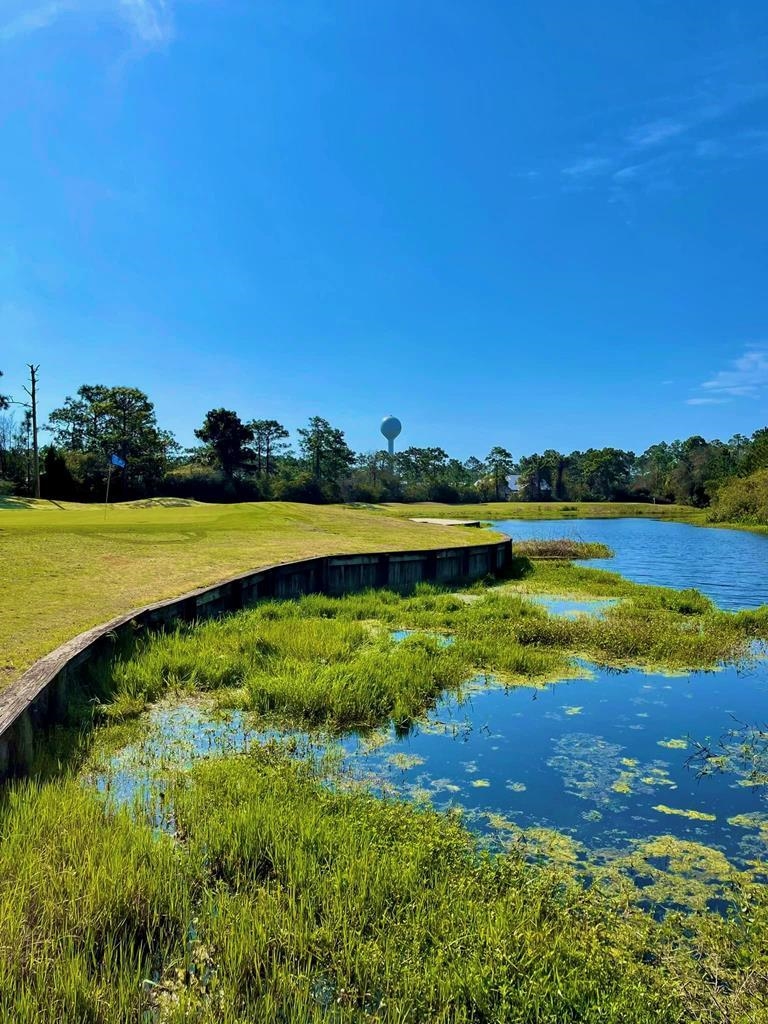 262 Royal Tern Way, CARRABELLE, Florida image 5