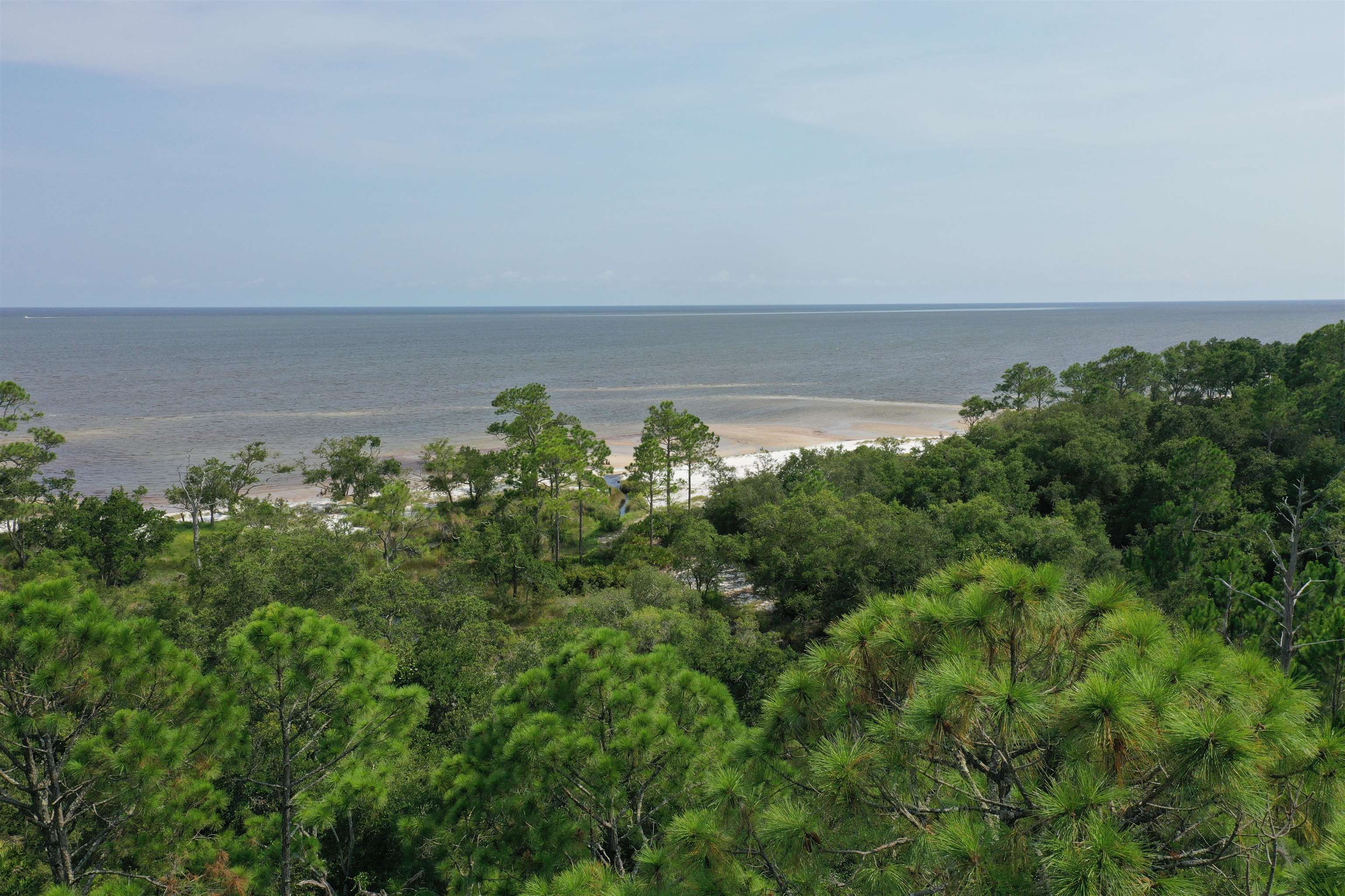 136 Marshmallow Lane #LOT 483 - EAST, ST TERESA, Florida image 3