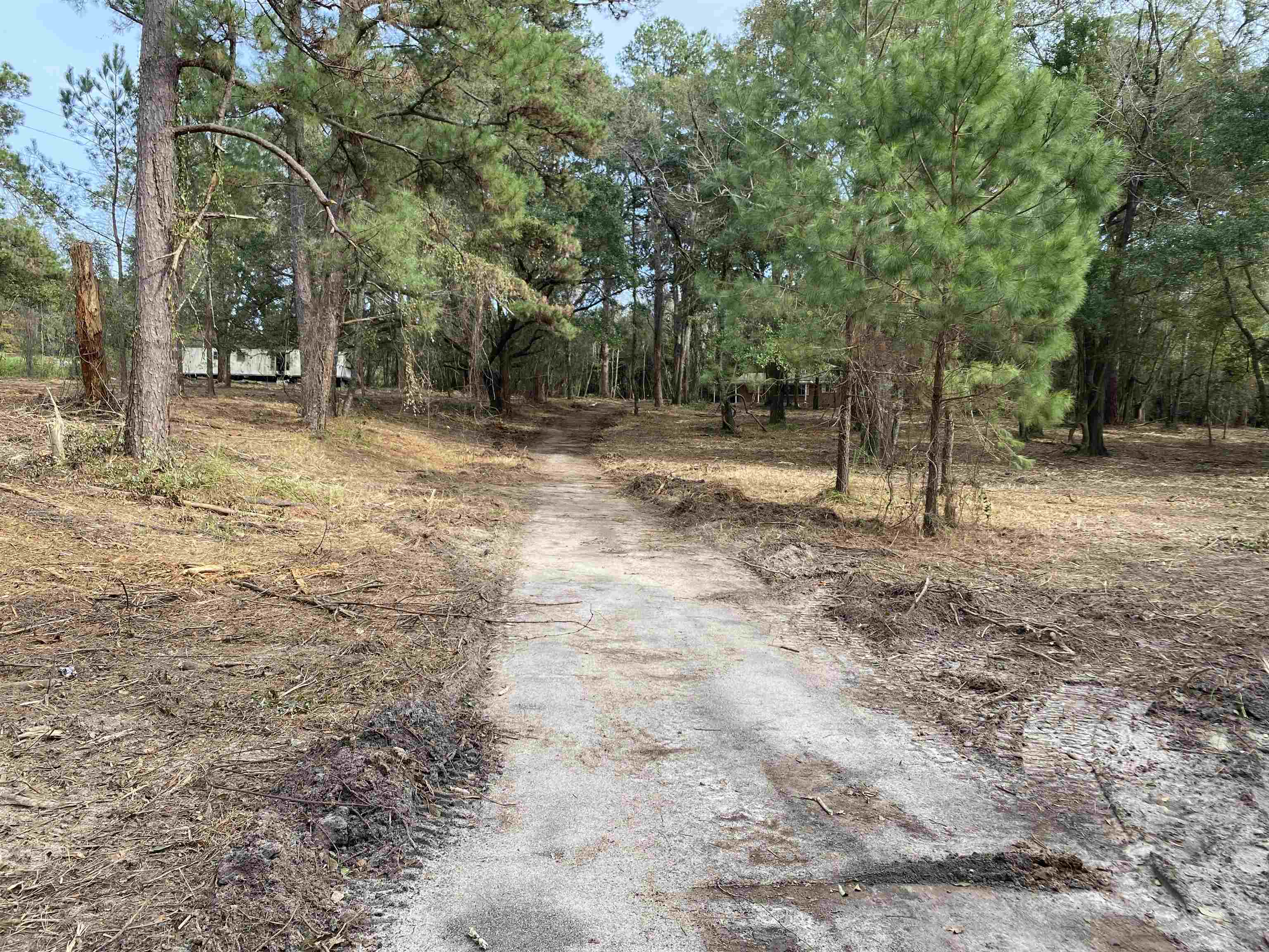 2331 Trimble Road, Tallahassee, Florida image 13