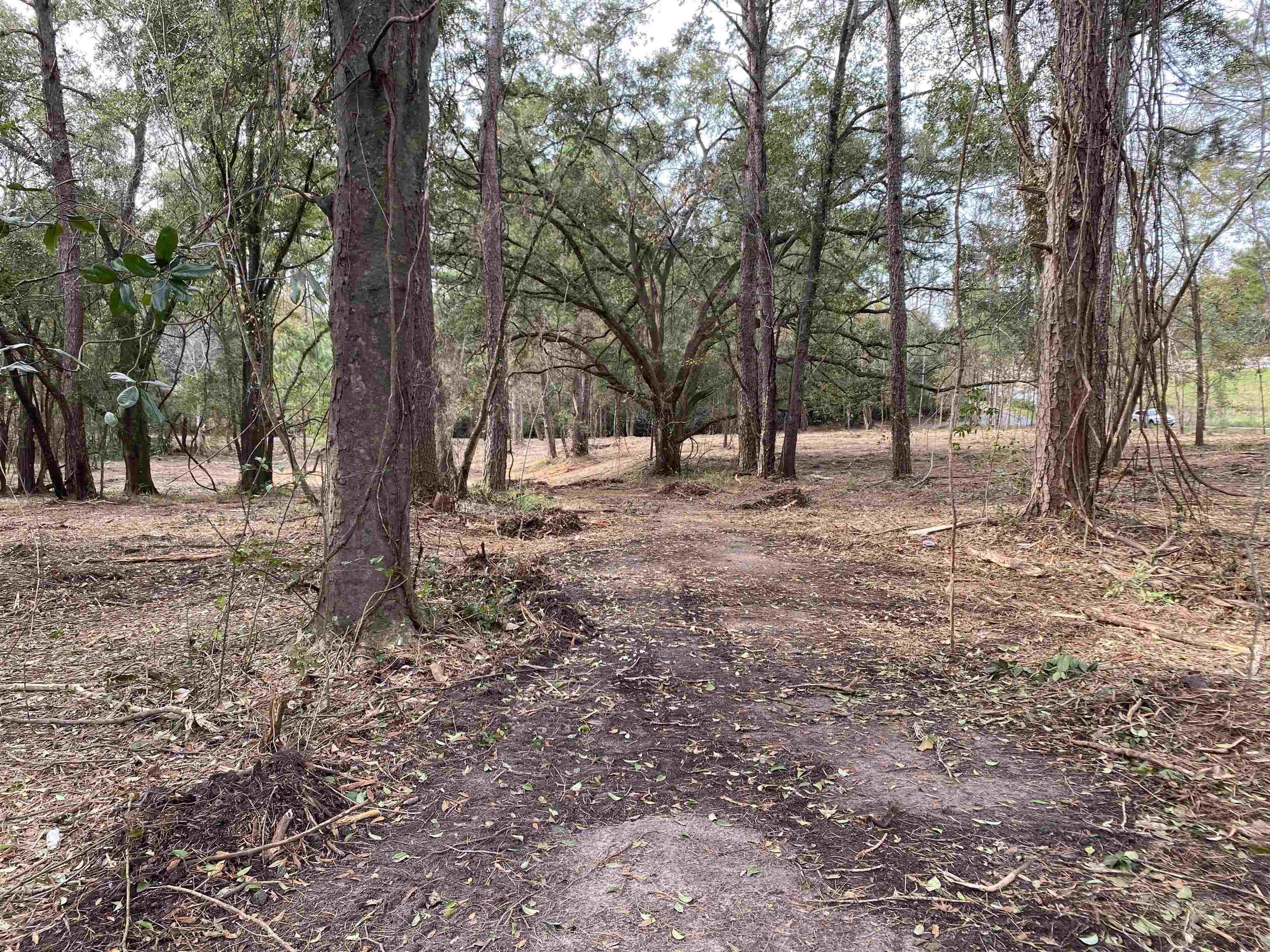 2331 Trimble Road, Tallahassee, Florida image 14
