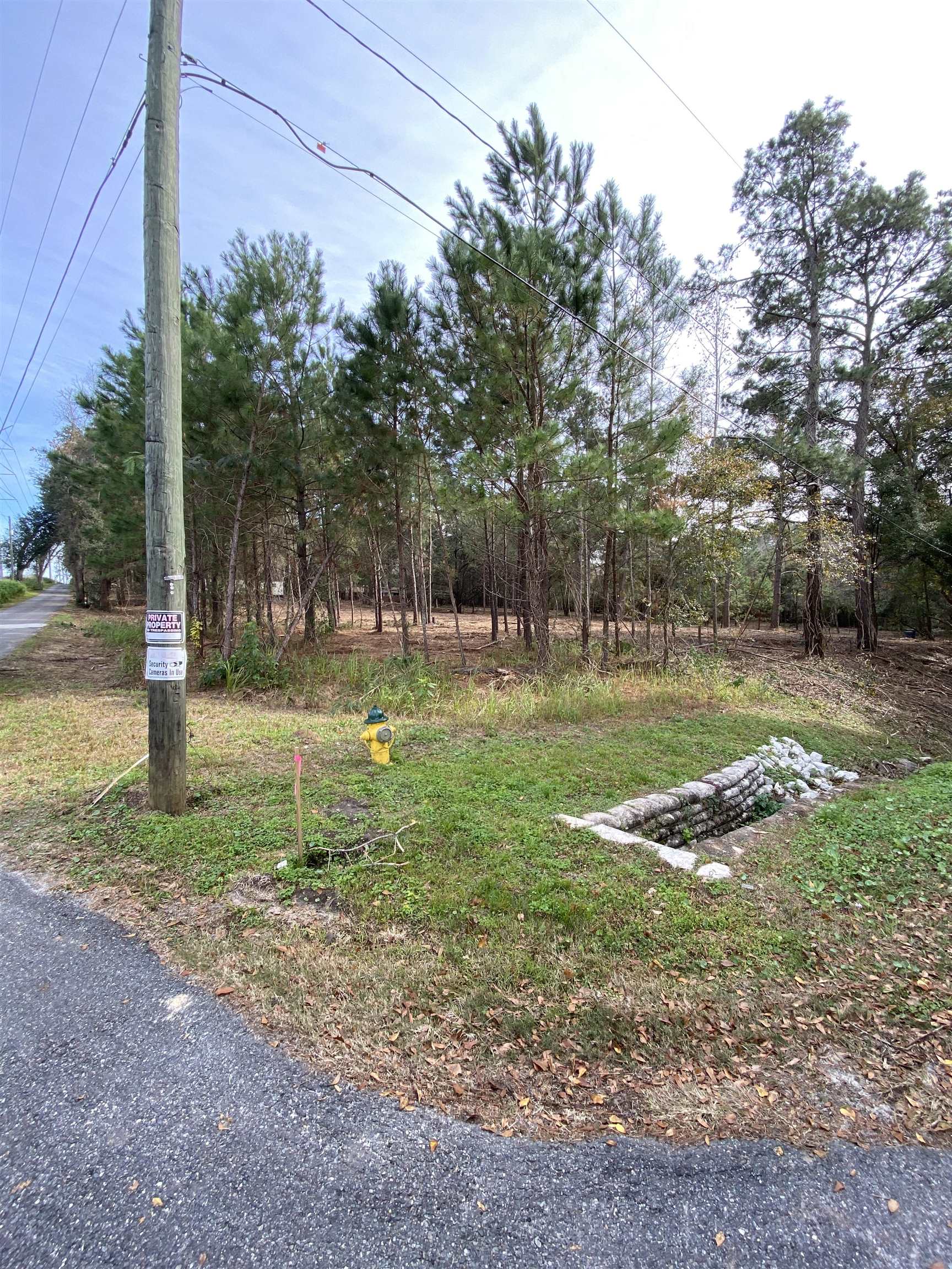 2331 Trimble Road, Tallahassee, Florida image 18