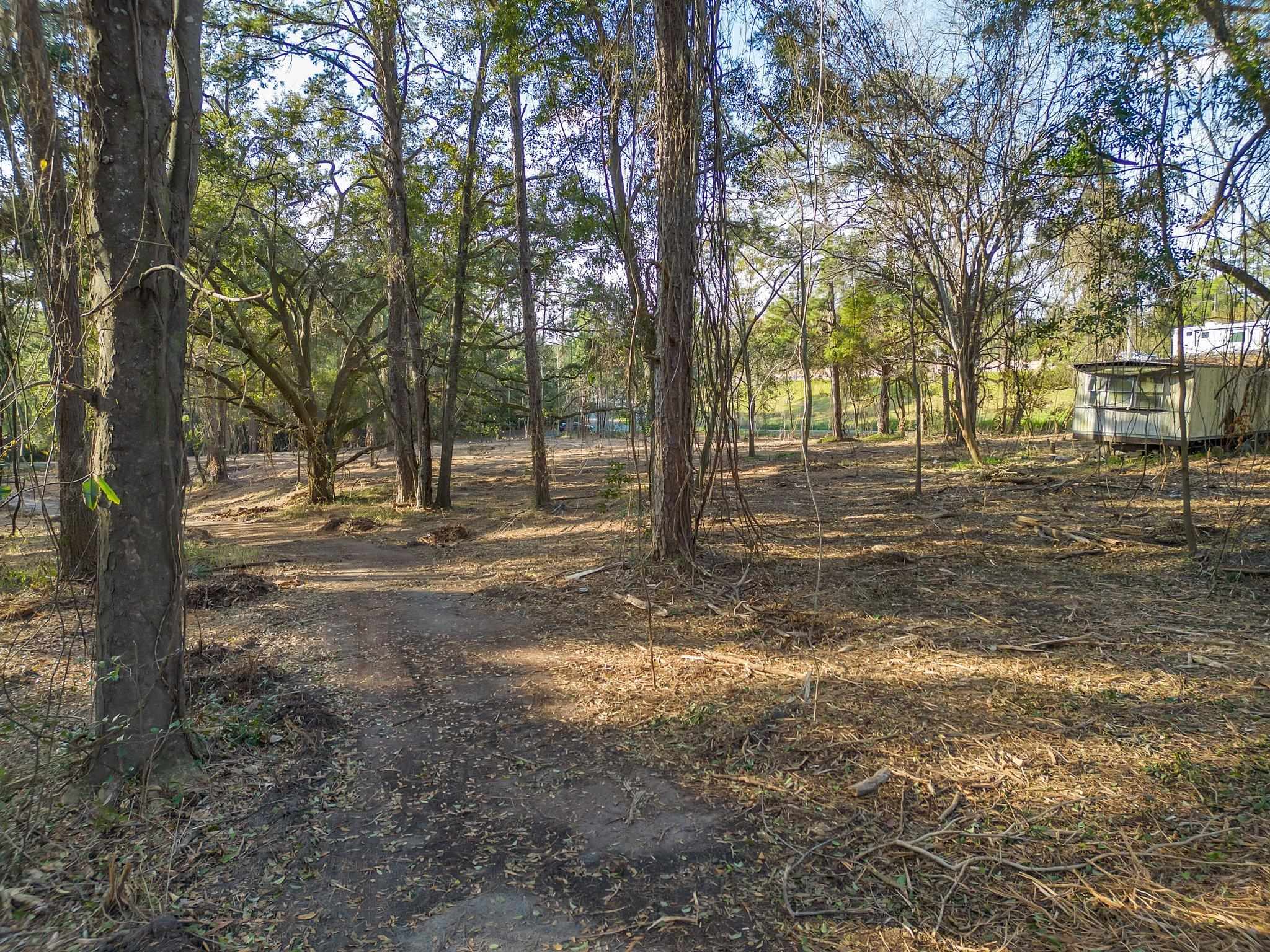 2331 Trimble Road, Tallahassee, Florida image 3