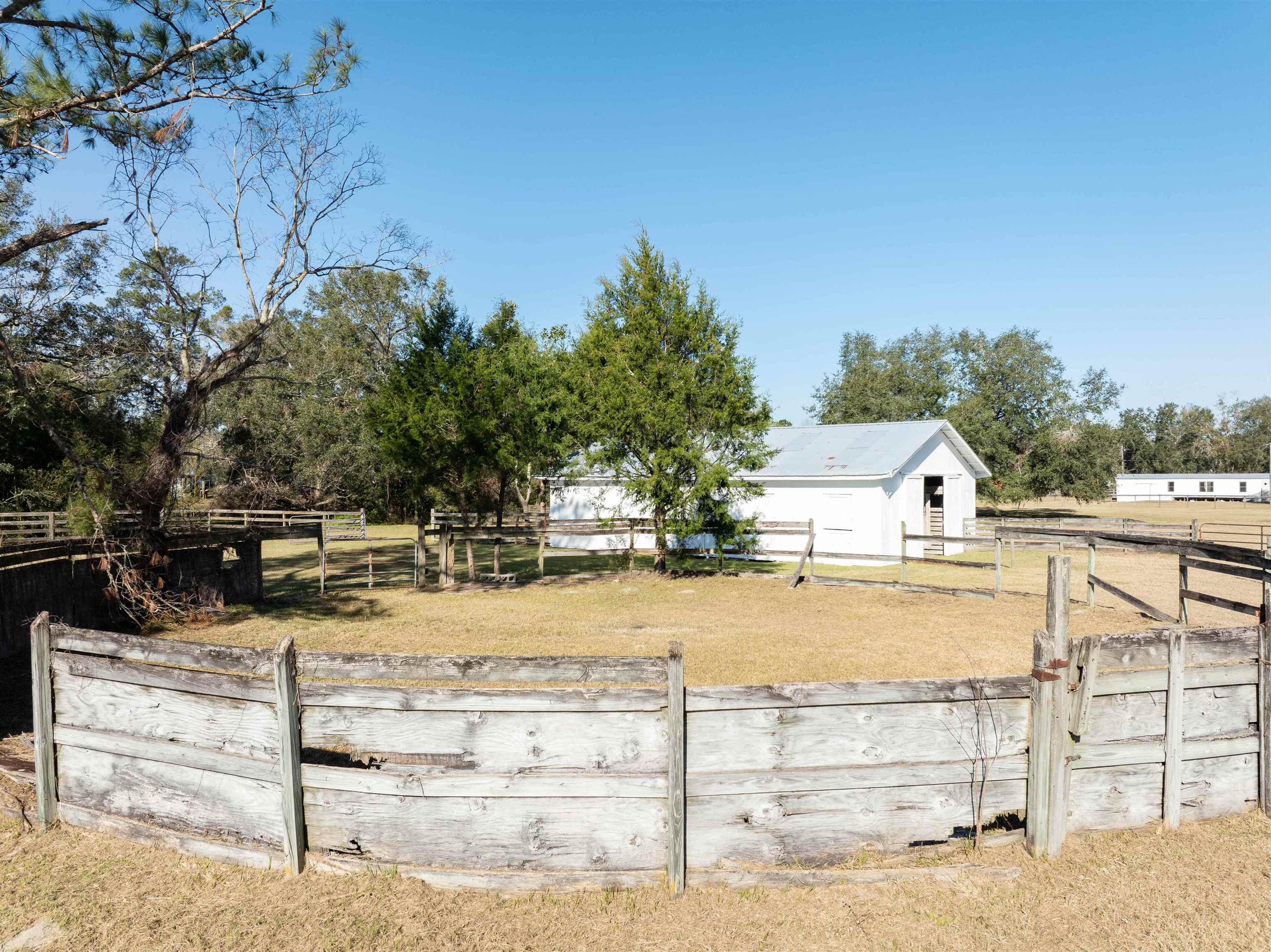 2315 SW Old St. Augustine Road, MADISON, Florida image 7