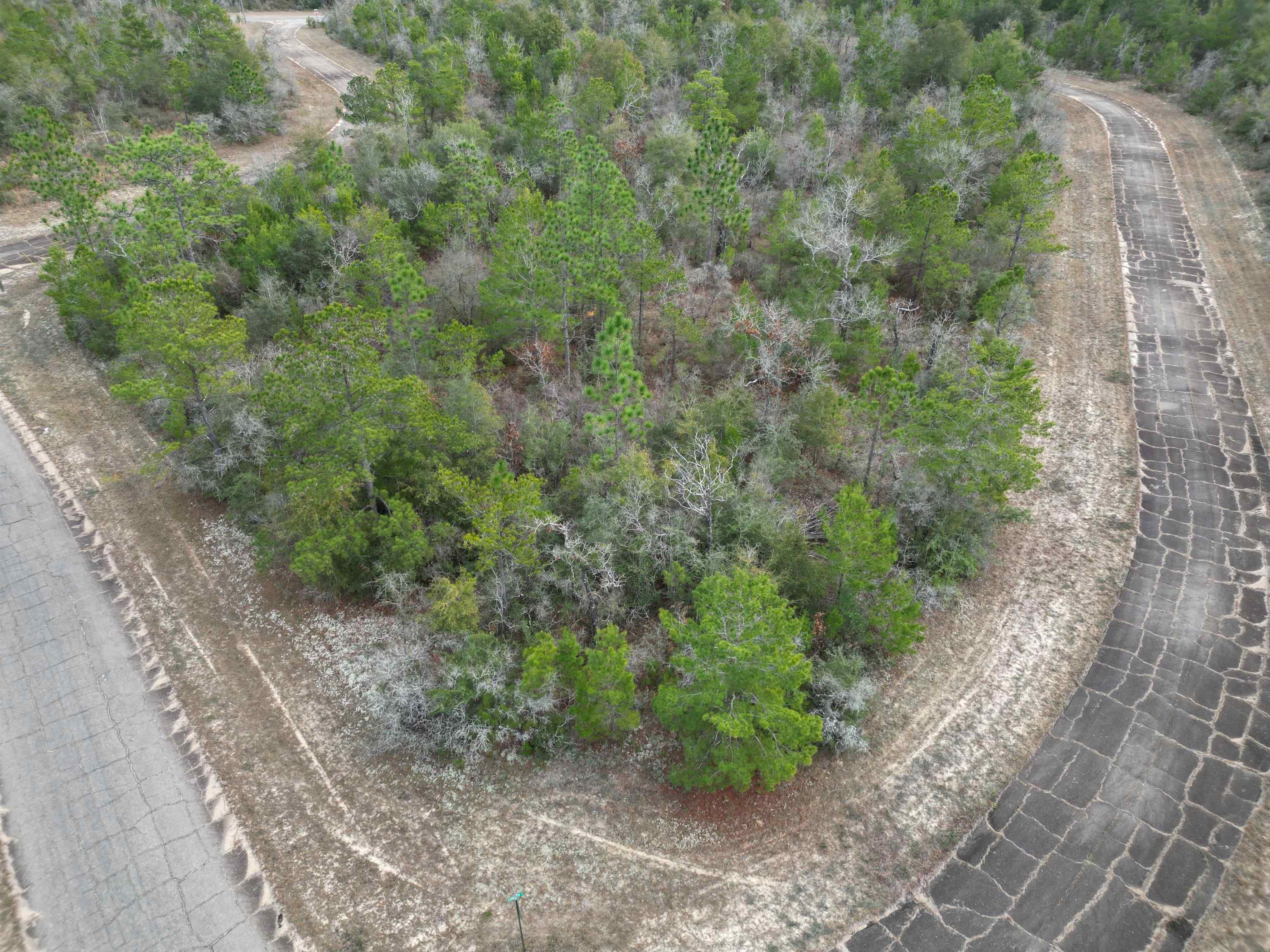 Confetti Place, CHIPLEY, Florida image 1