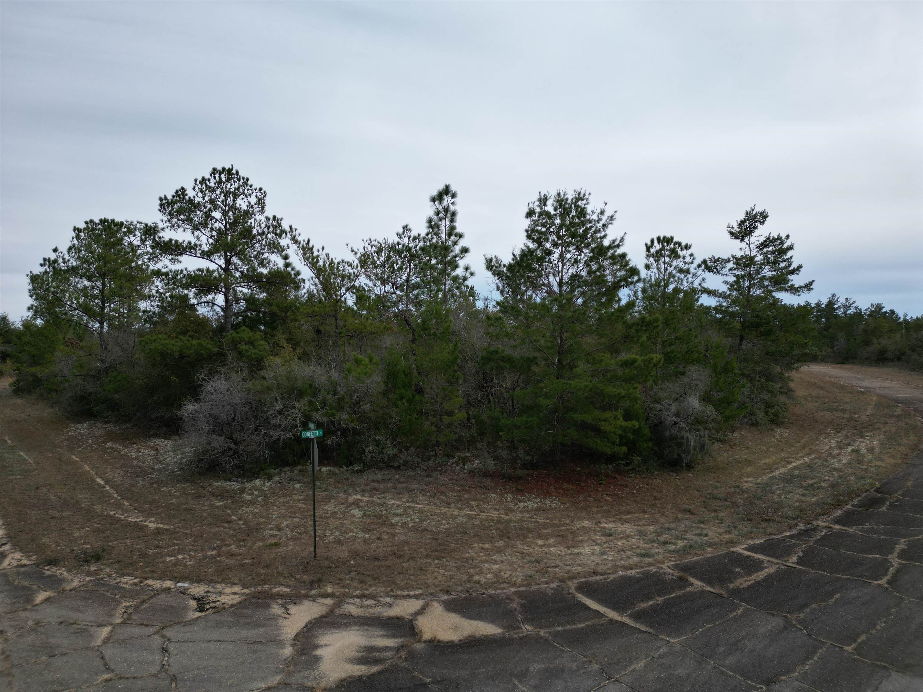 Confetti Place, CHIPLEY, Florida image 4