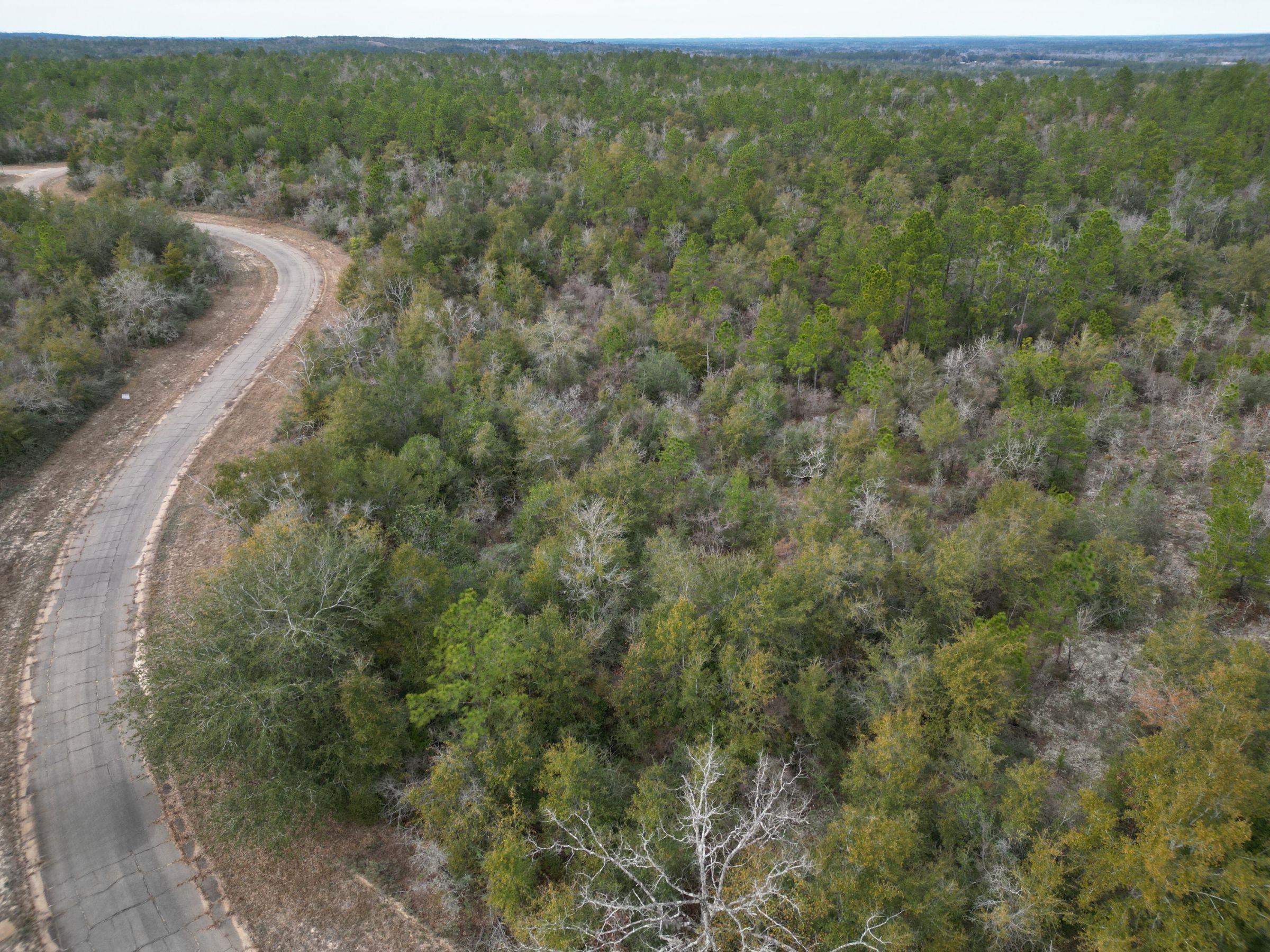 Laredo Drive, CHIPLEY, Florida image 2