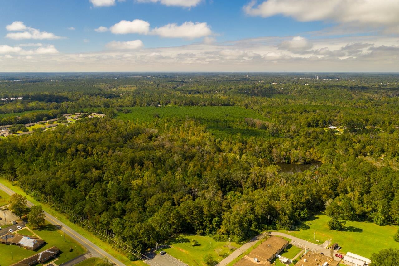 XXXX Strong Road, Quincy, Florida image 10