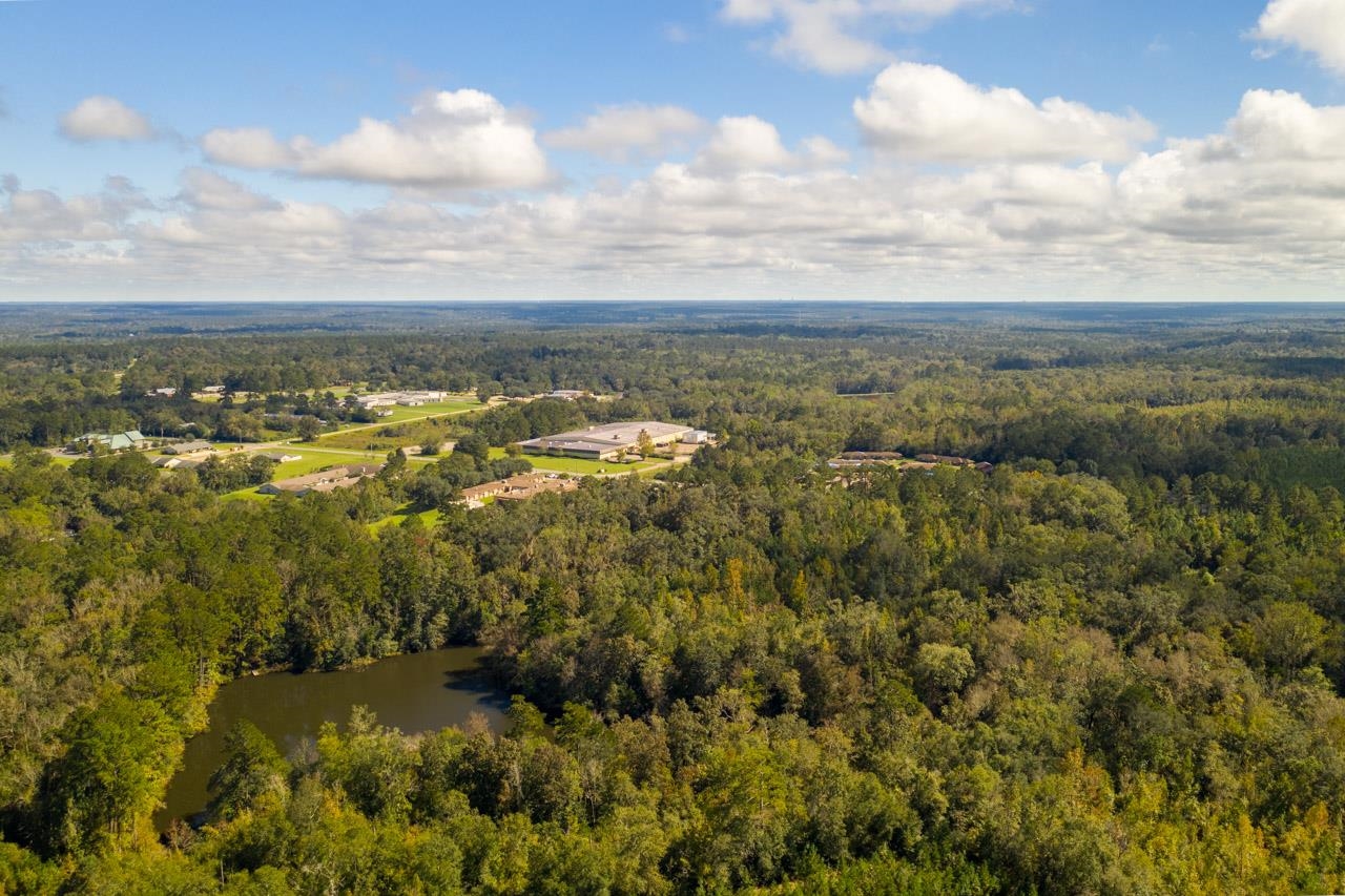 XXXX Strong Road, Quincy, Florida image 9