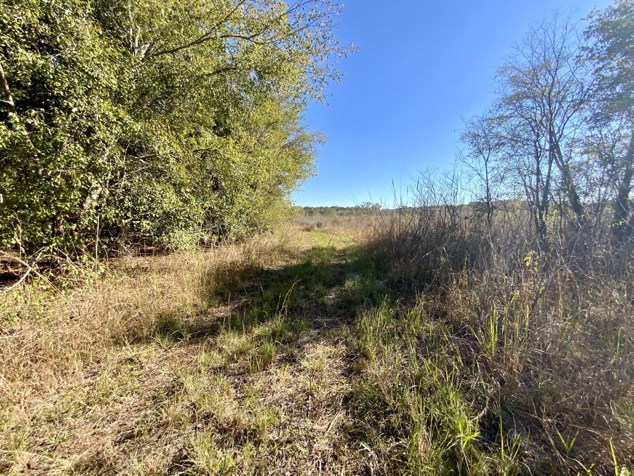 Vacant NE Bittersweet Trail, Madison, Florida image 13