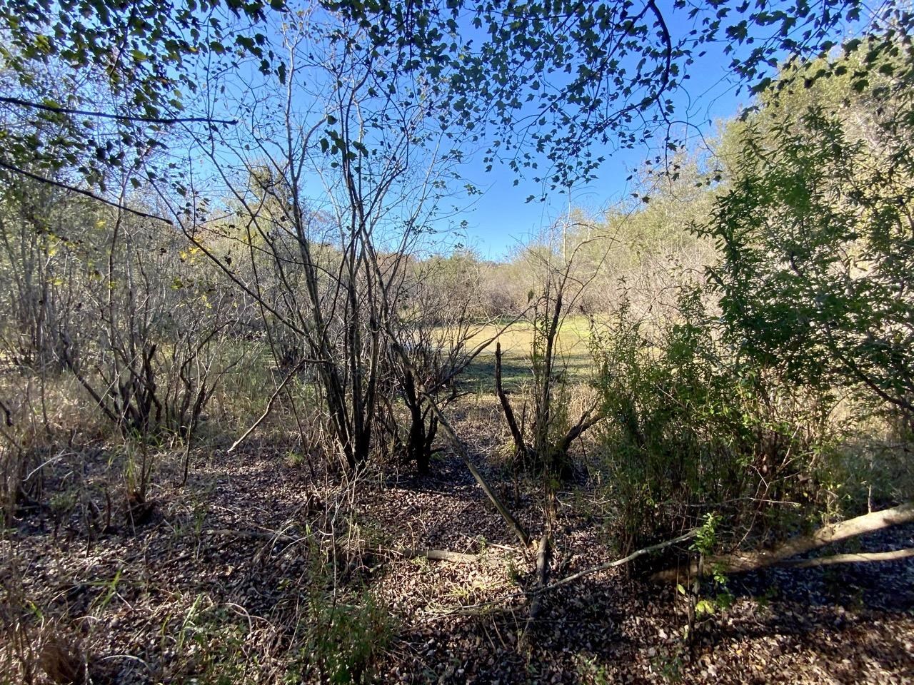 Vacant NE Bittersweet Trail, Madison, Florida image 18