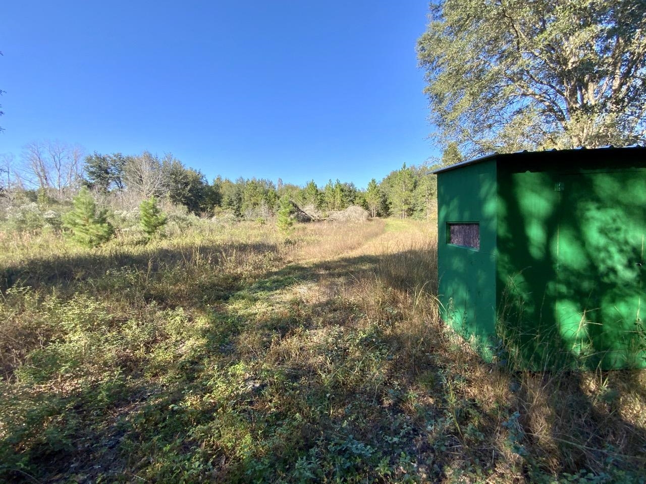 Vacant NE Bittersweet Trail, Madison, Florida image 2