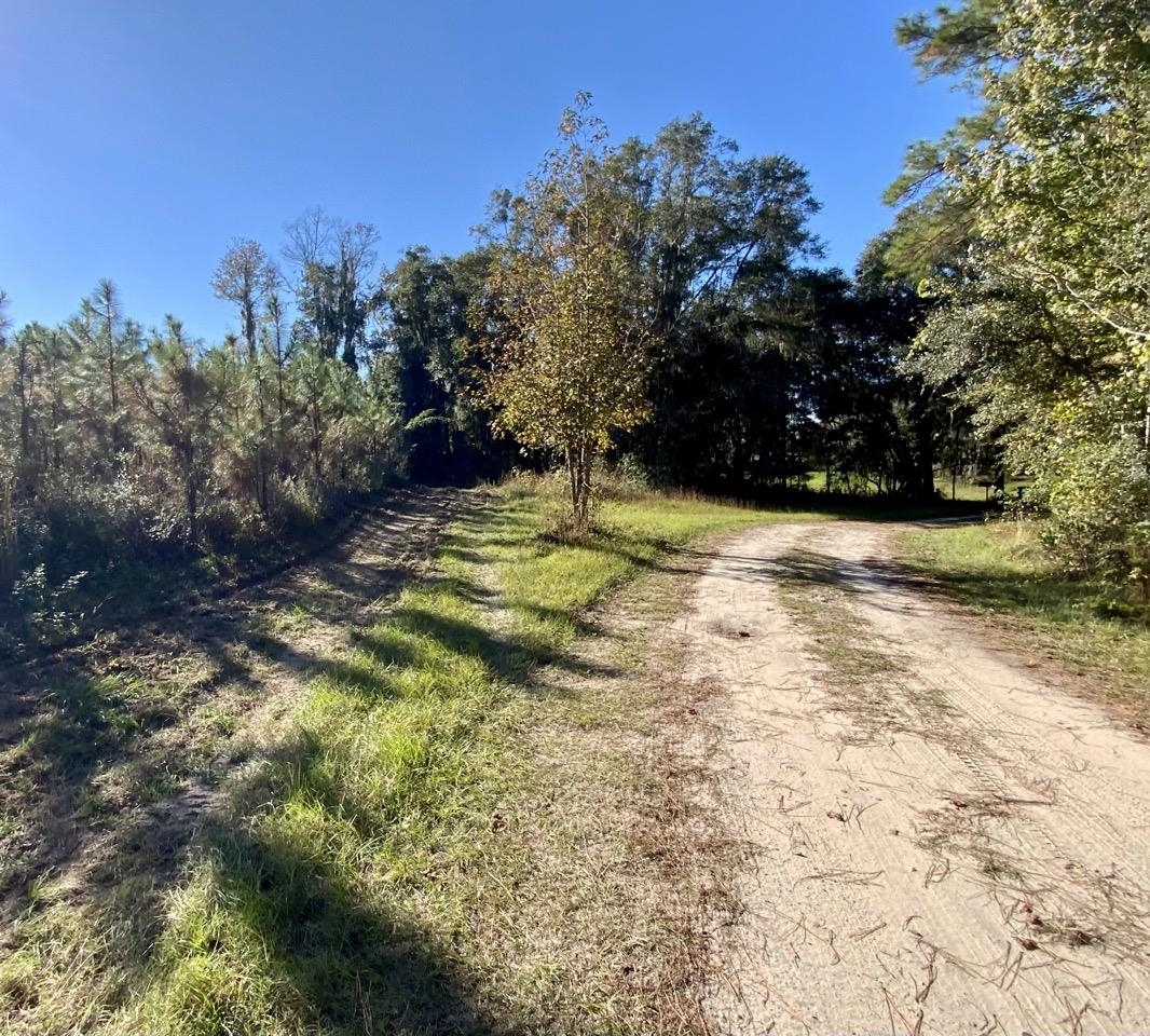 Vacant NE Bittersweet Trail, Madison, Florida image 21