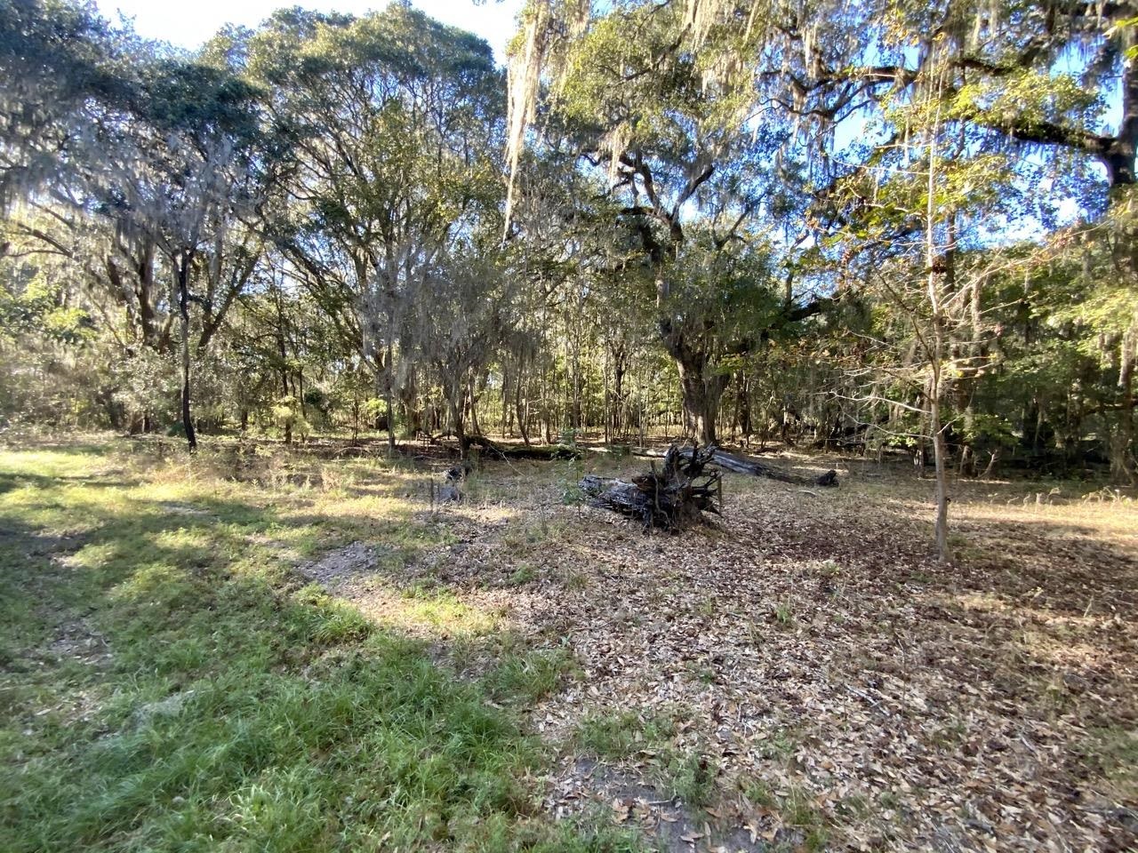 Vacant NE Bittersweet Trail, Madison, Florida image 24