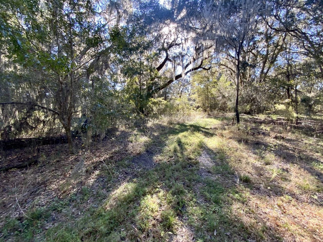 Vacant NE Bittersweet Trail, Madison, Florida image 25