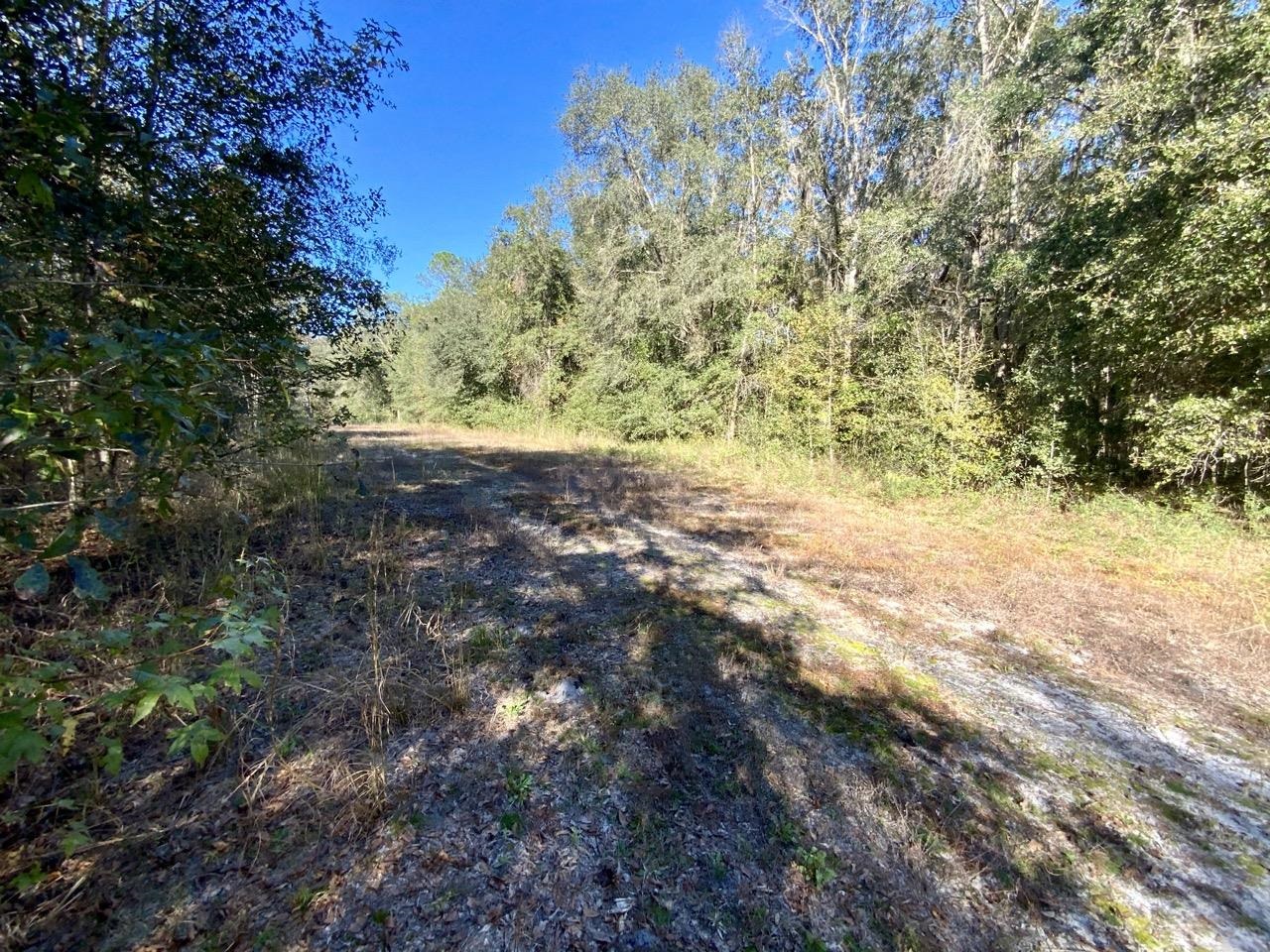 Vacant NE Bittersweet Trail, Madison, Florida image 27