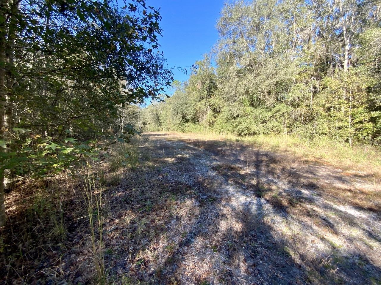 Vacant NE Bittersweet Trail, Madison, Florida image 28