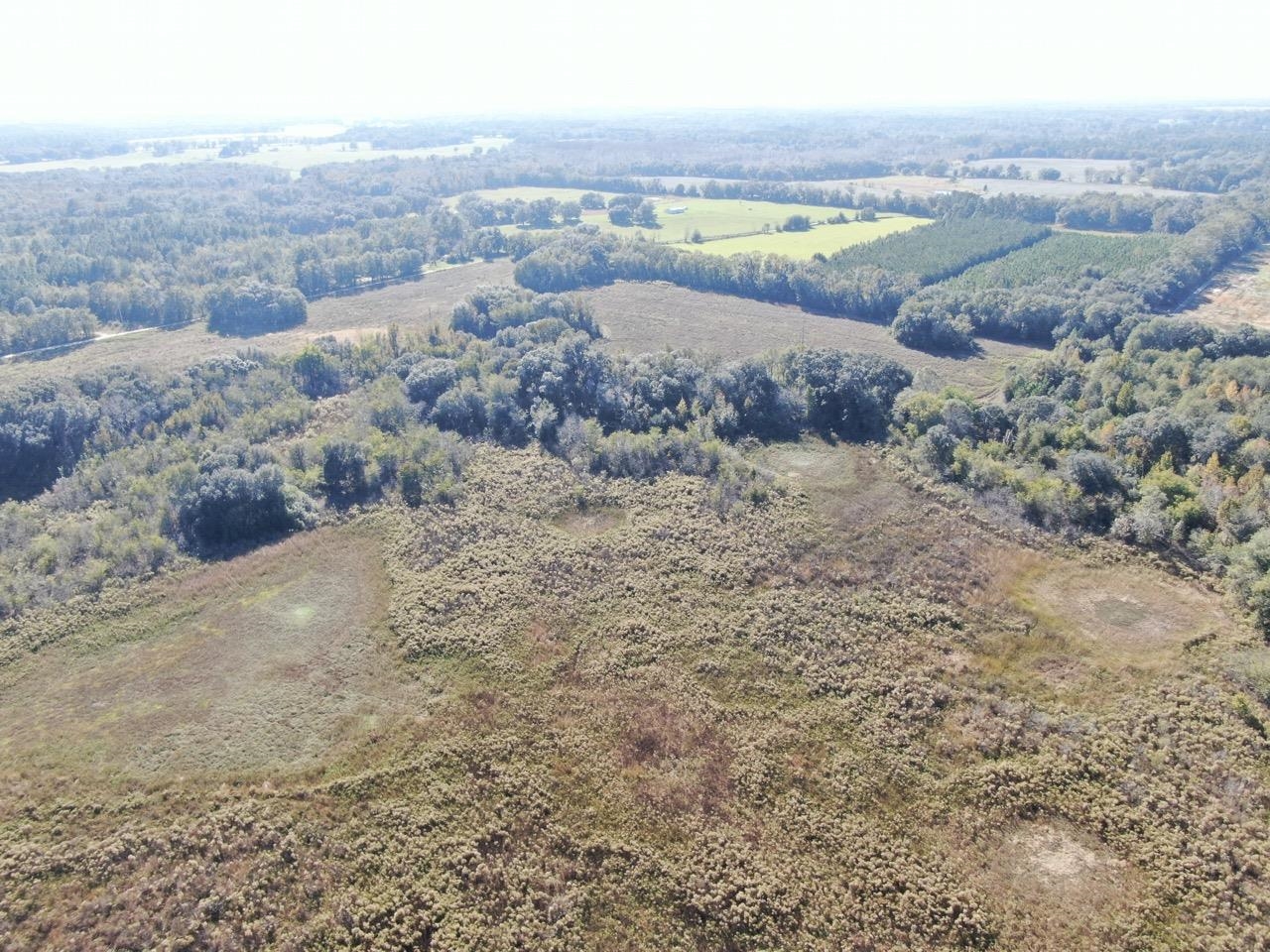 Vacant NE Bittersweet Trail, Madison, Florida image 34