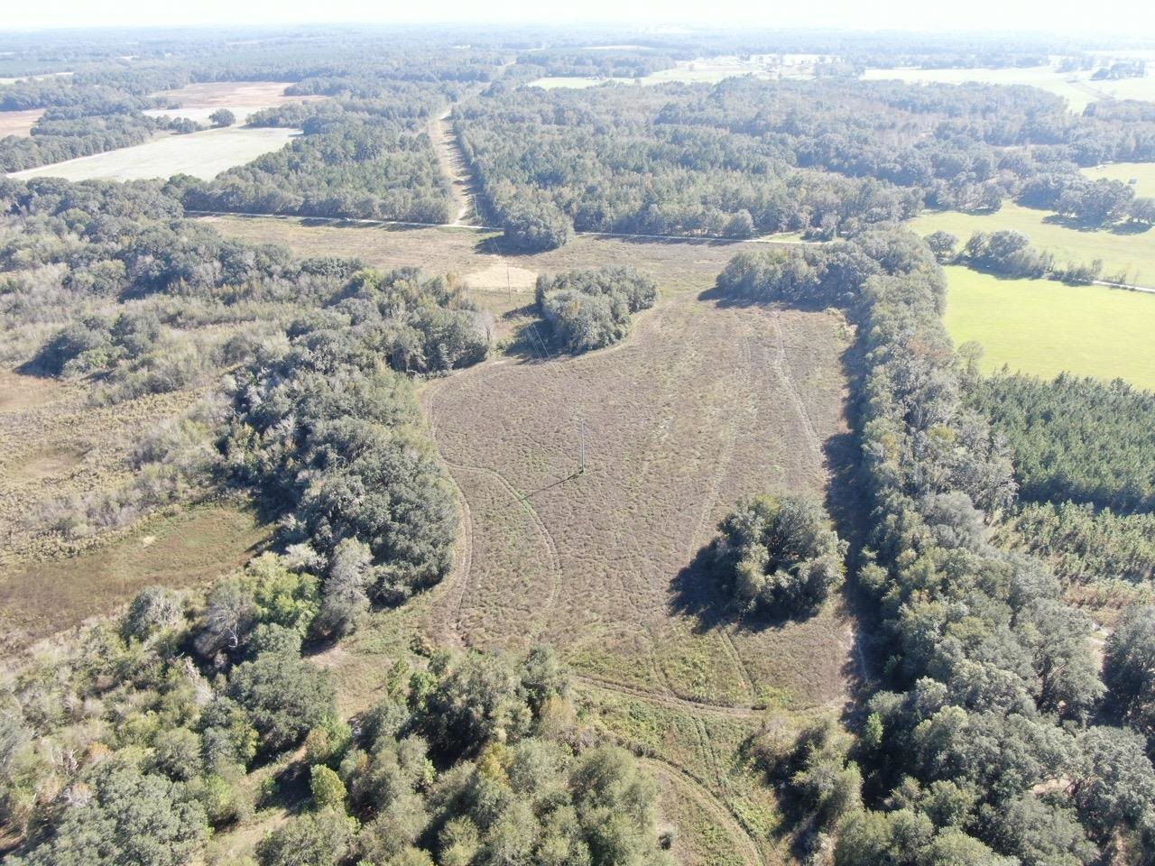 Vacant NE Bittersweet Trail, Madison, Florida image 38