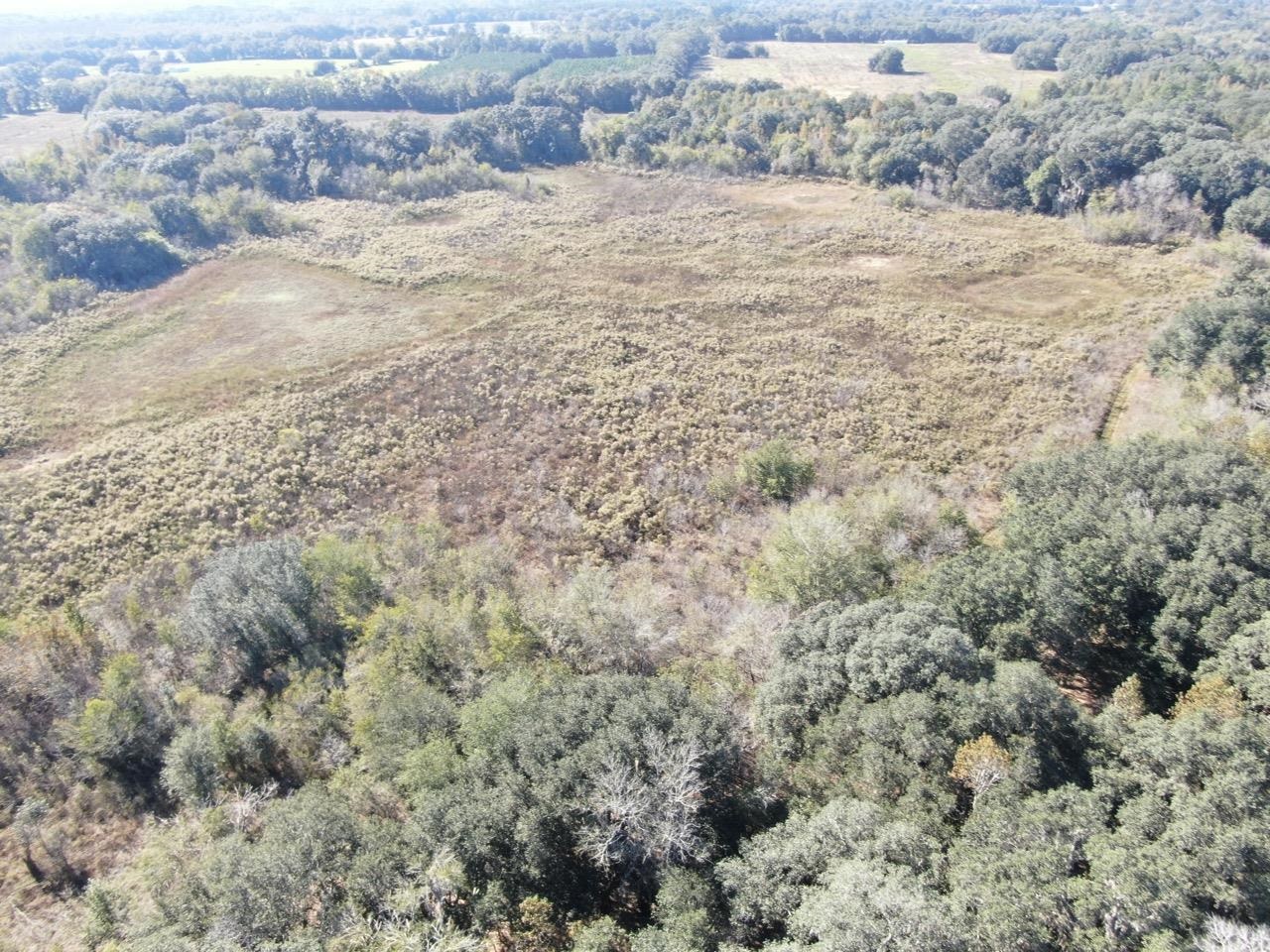 Vacant NE Bittersweet Trail, Madison, Florida image 39