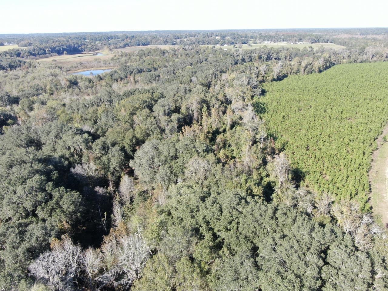 Vacant NE Bittersweet Trail, Madison, Florida image 41