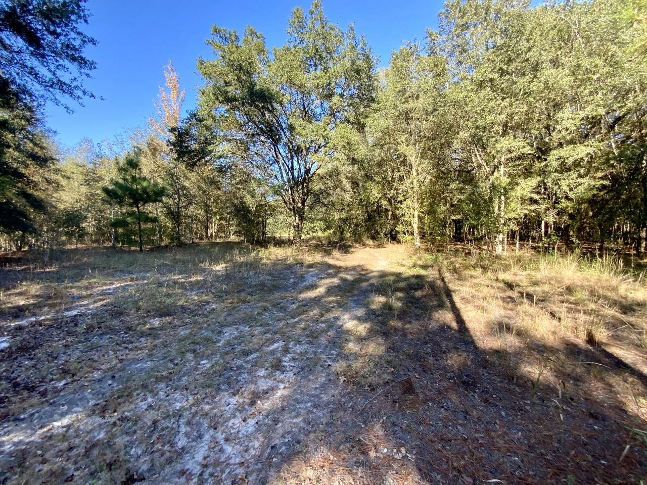 Vacant NE Bittersweet Trail, Madison, Florida image 6