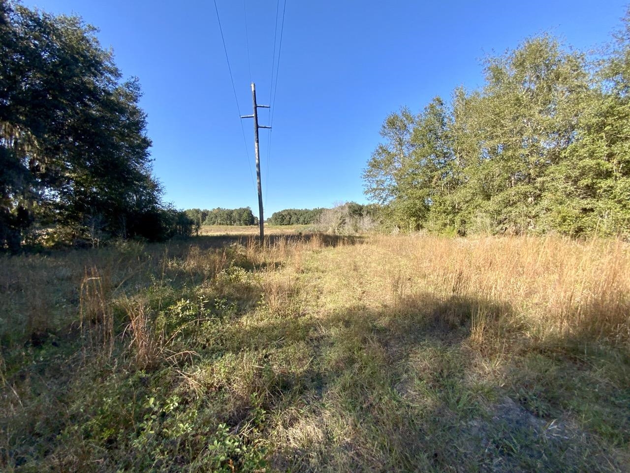 Vacant NE Bittersweet Trail, Madison, Florida image 9