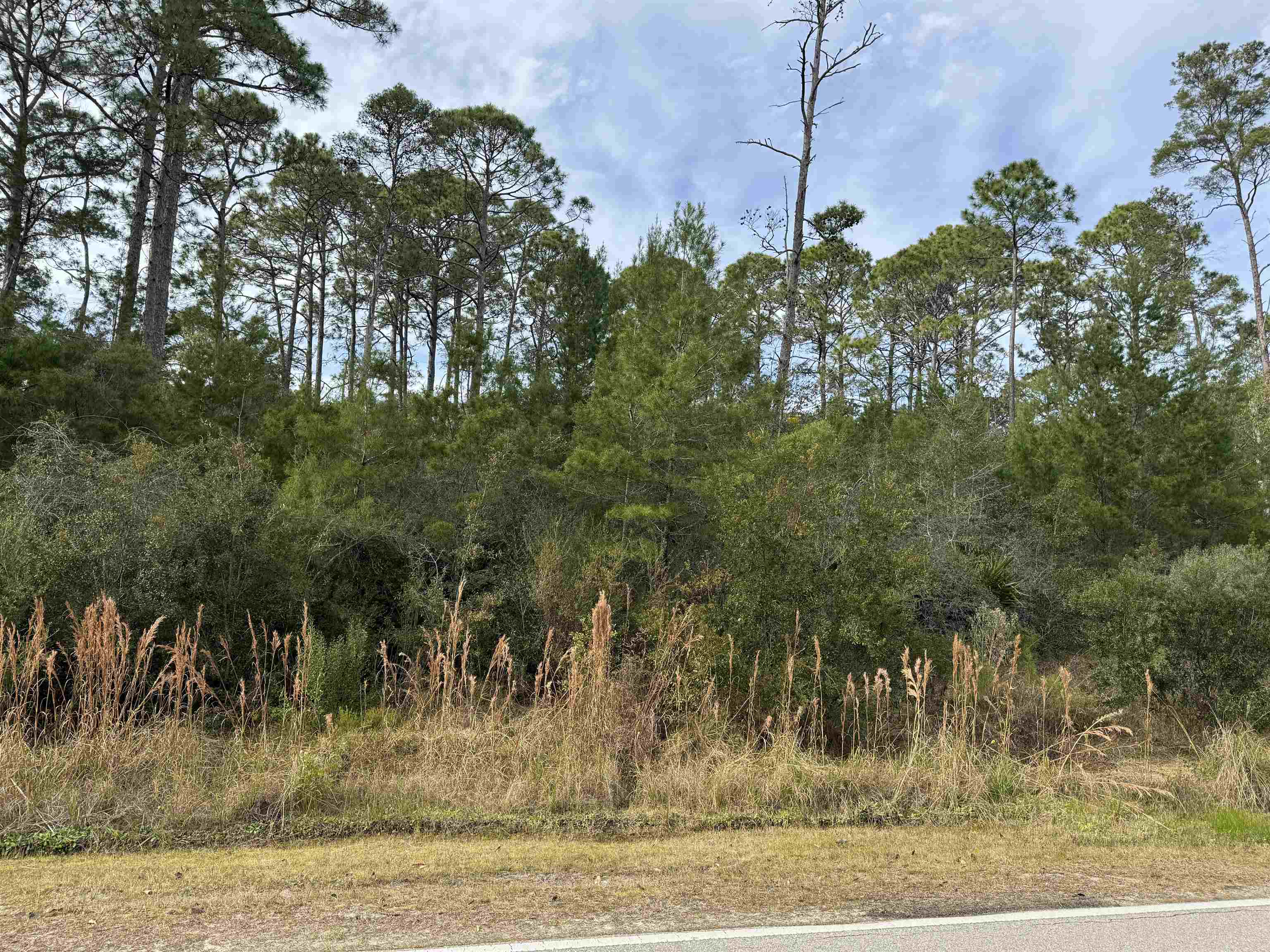 XX Ryan Drive, Carrabelle, Florida image 2