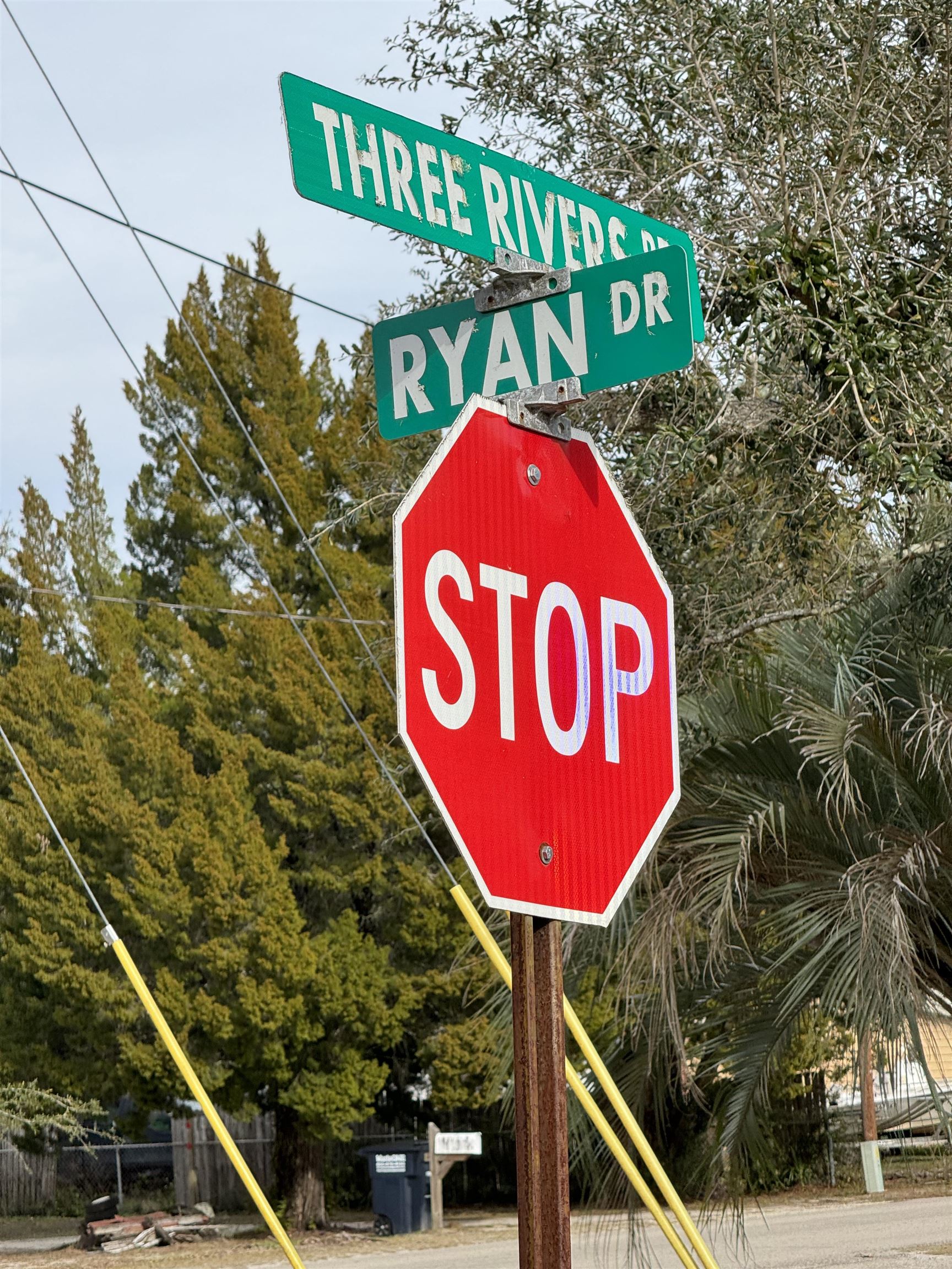 XX Ryan Drive, Carrabelle, Florida image 3