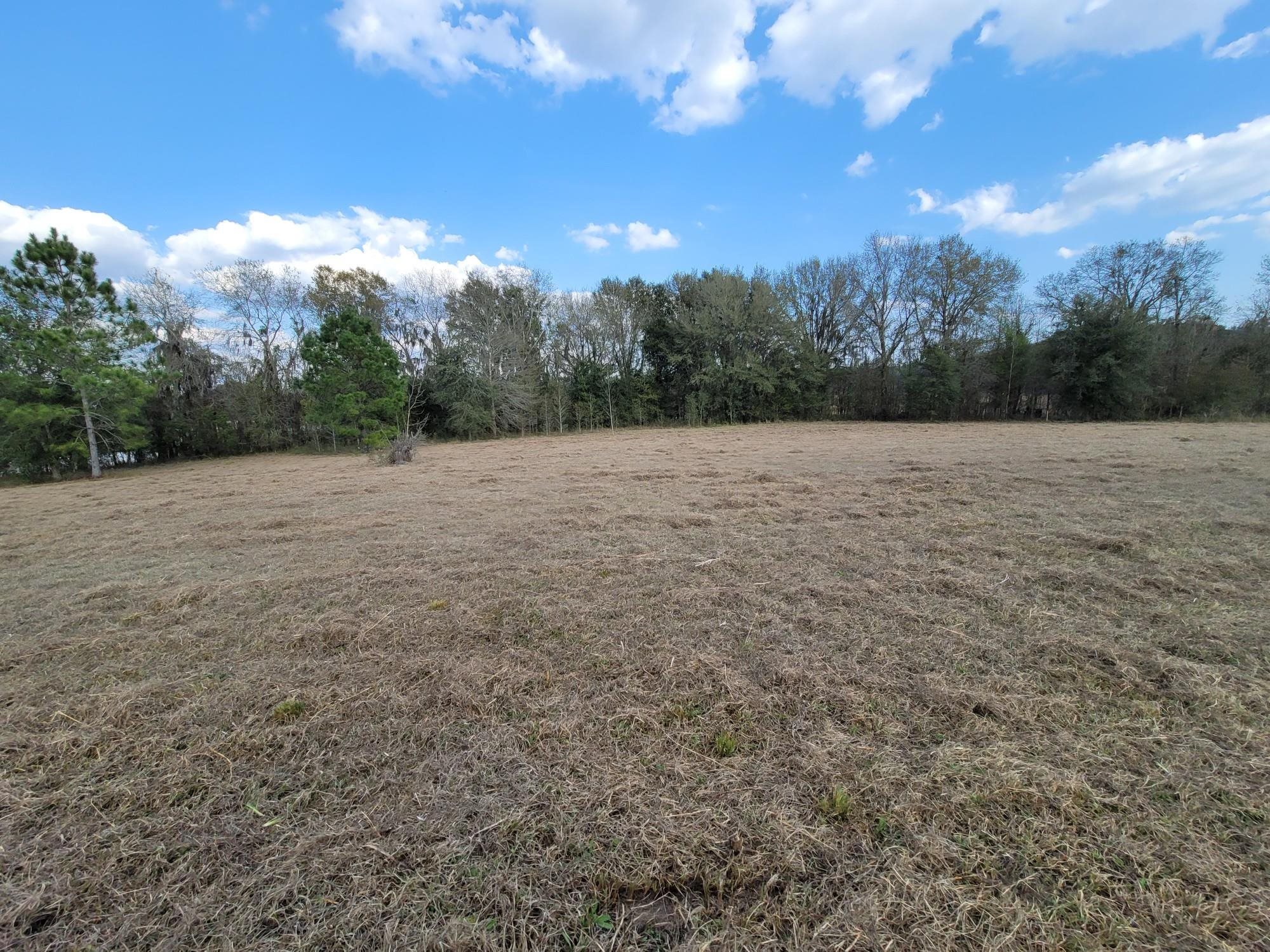 Vacant NW Rolling Hills Drive, Madison, Florida image 10