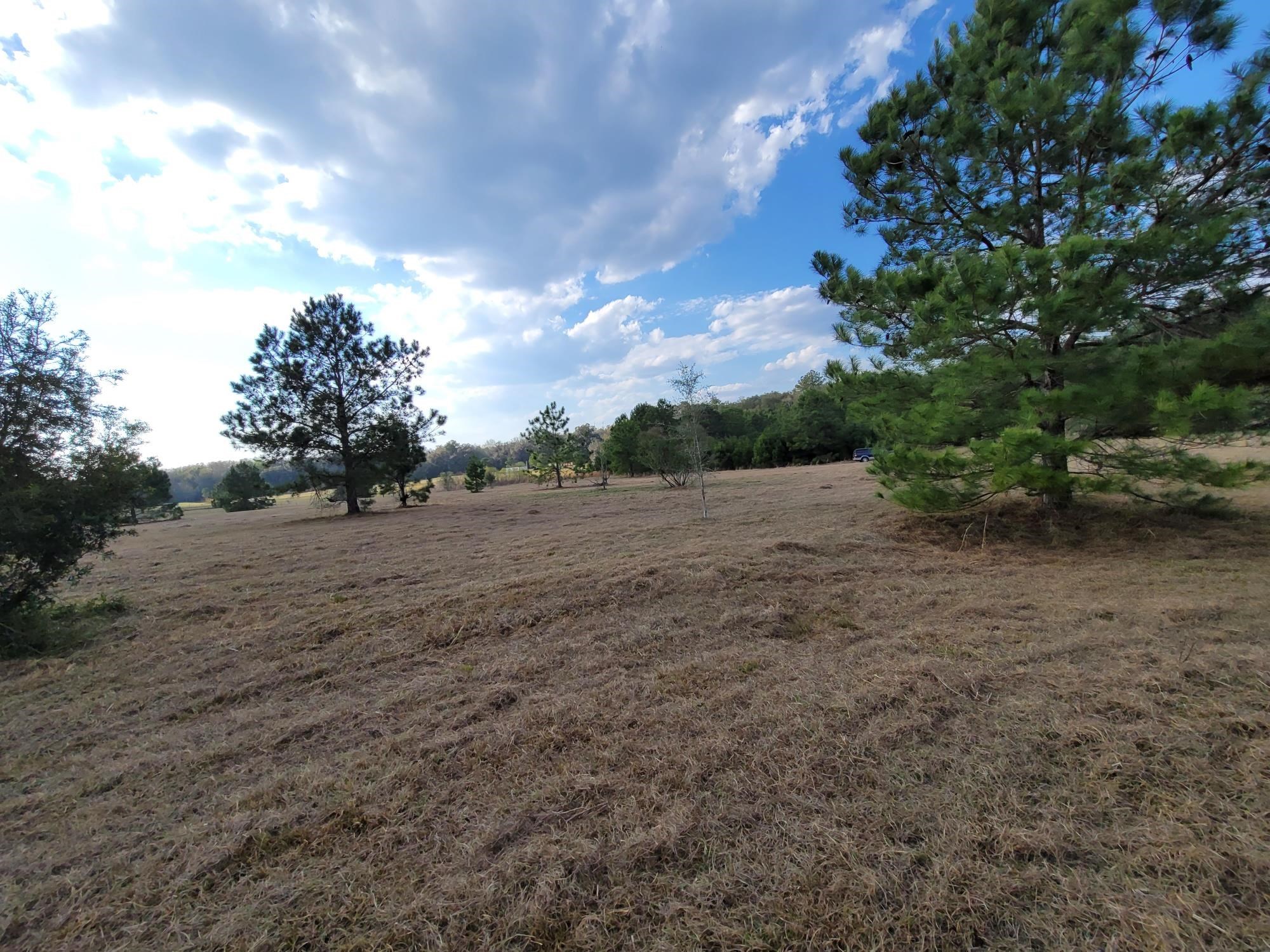 Vacant NW Rolling Hills Drive, Madison, Florida image 11