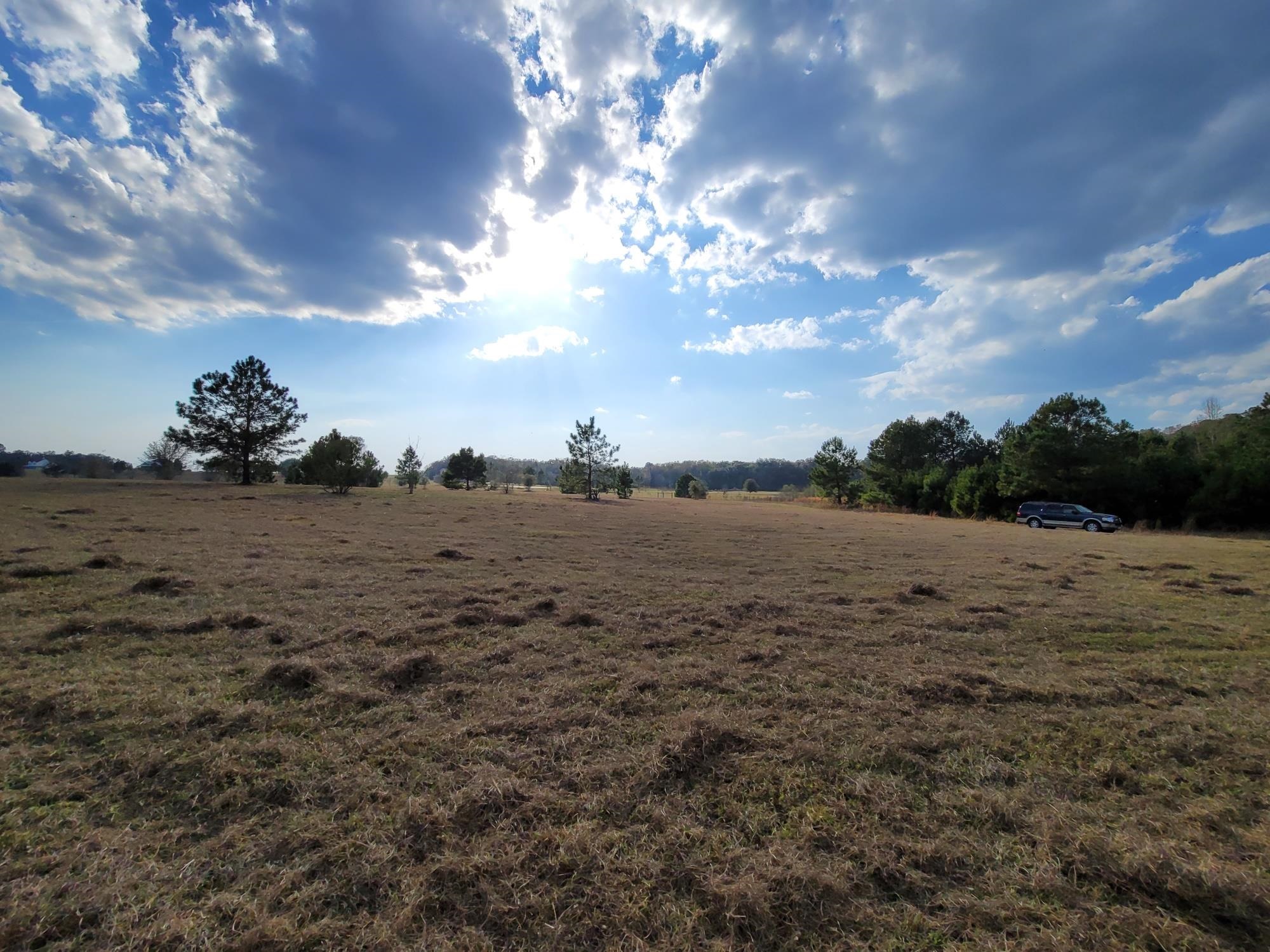 Vacant NW Rolling Hills Drive, Madison, Florida image 12