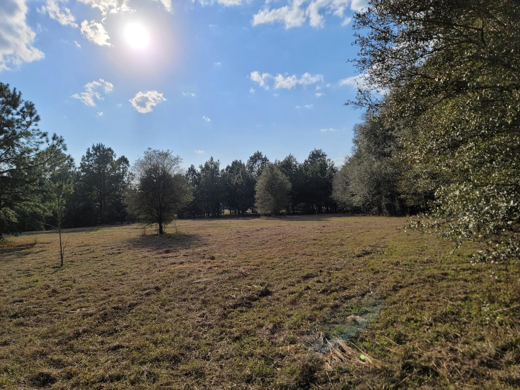 Vacant NW Rolling Hills Drive, Madison, Florida image 14