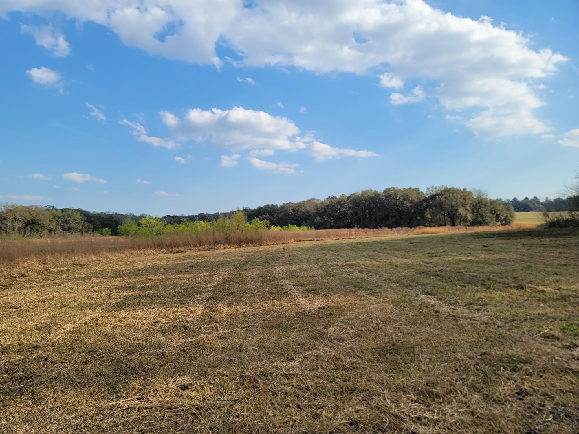 Vacant NW Rolling Hills Drive, Madison, Florida image 15