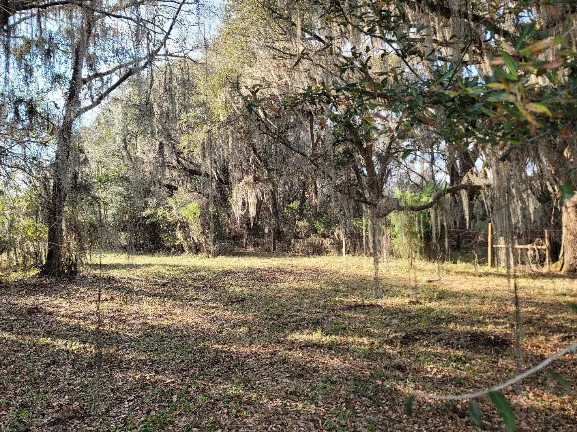 Vacant NW Rolling Hills Drive, Madison, Florida image 16