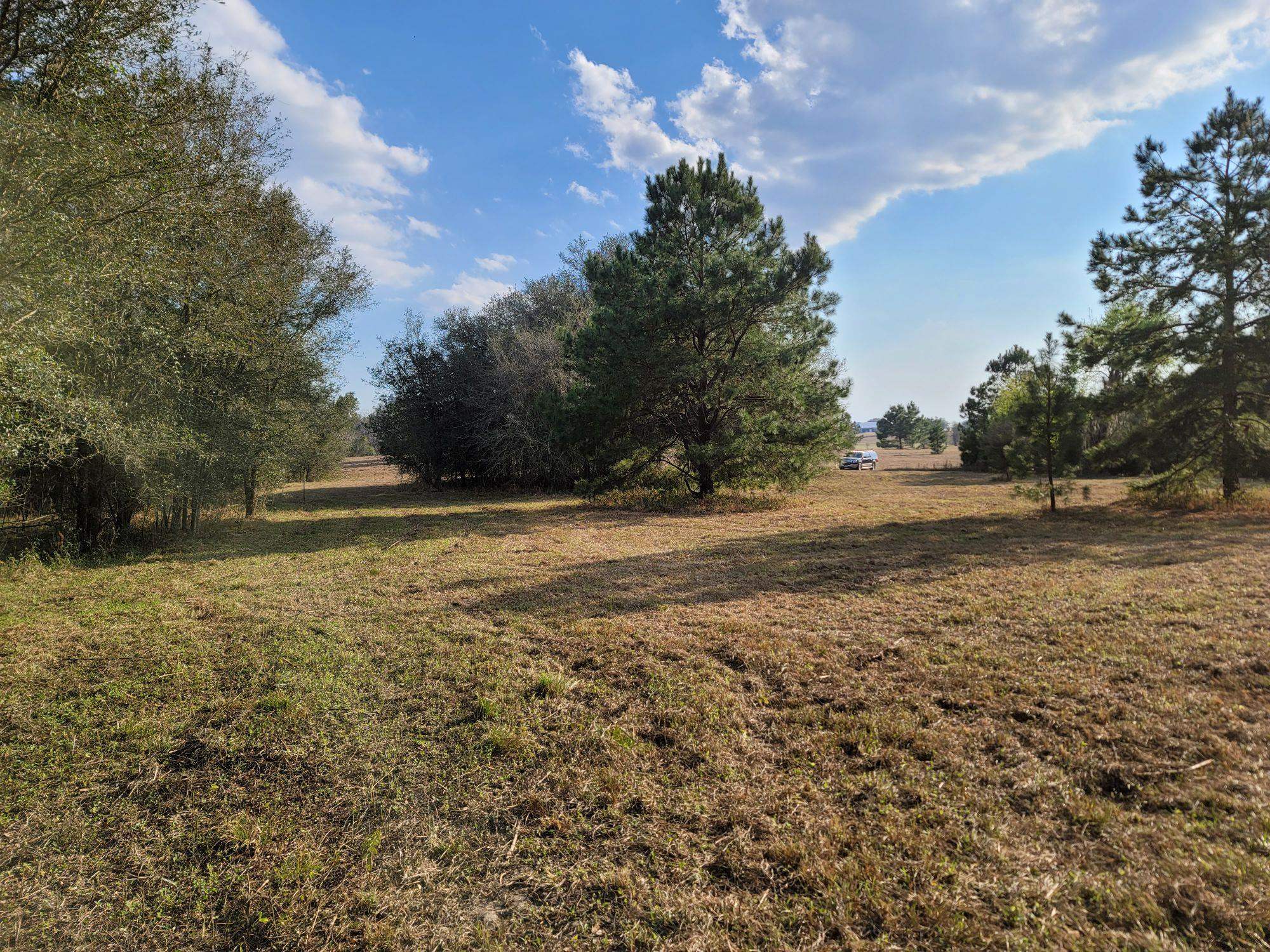 Vacant NW Rolling Hills Drive, Madison, Florida image 17