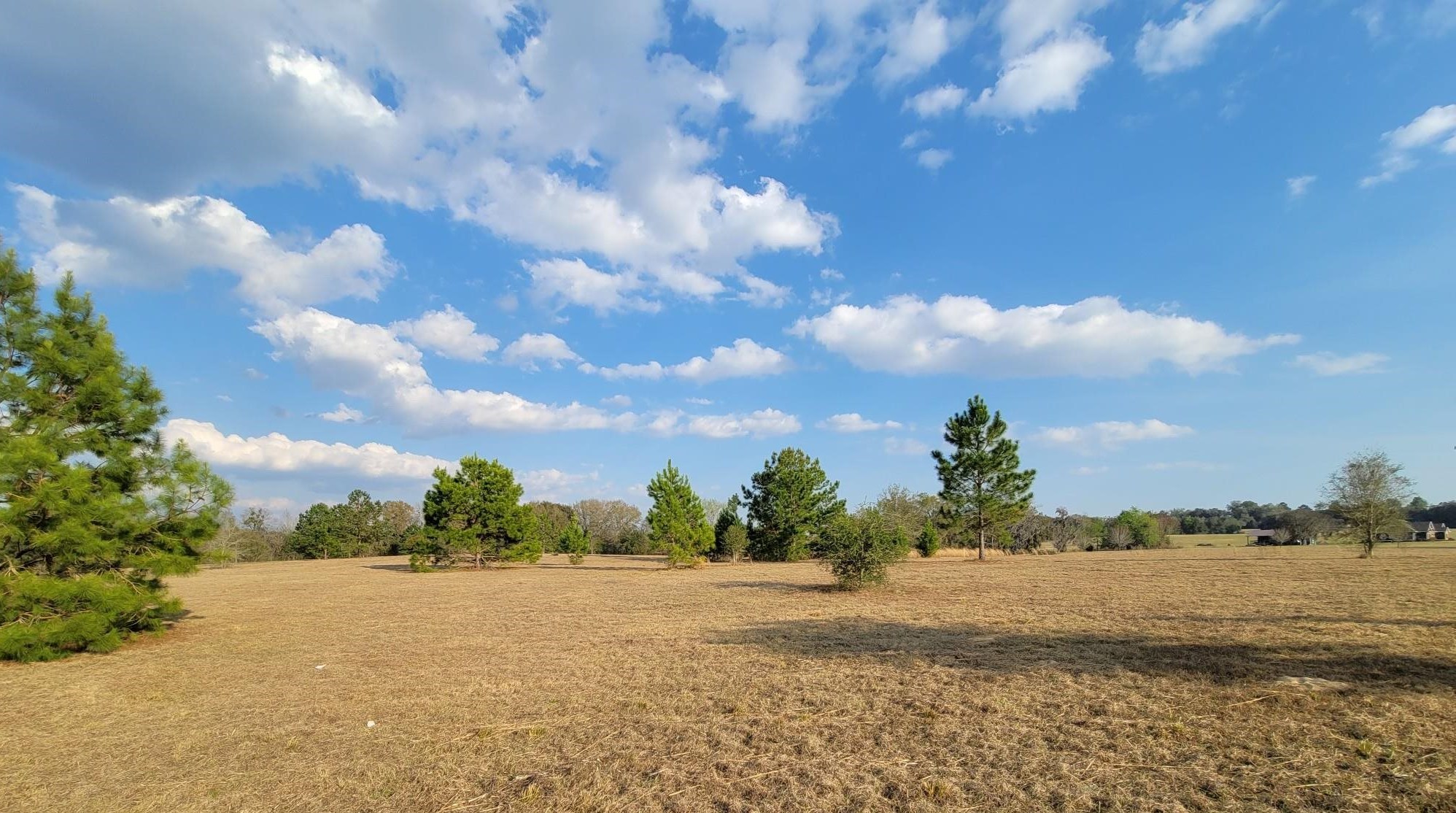 Vacant NW Rolling Hills Drive, Madison, Florida image 18