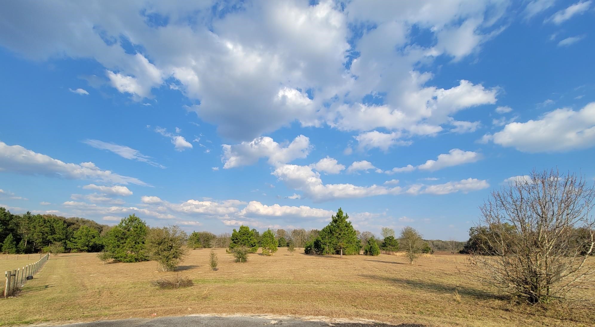 Vacant NW Rolling Hills Drive, Madison, Florida image 19