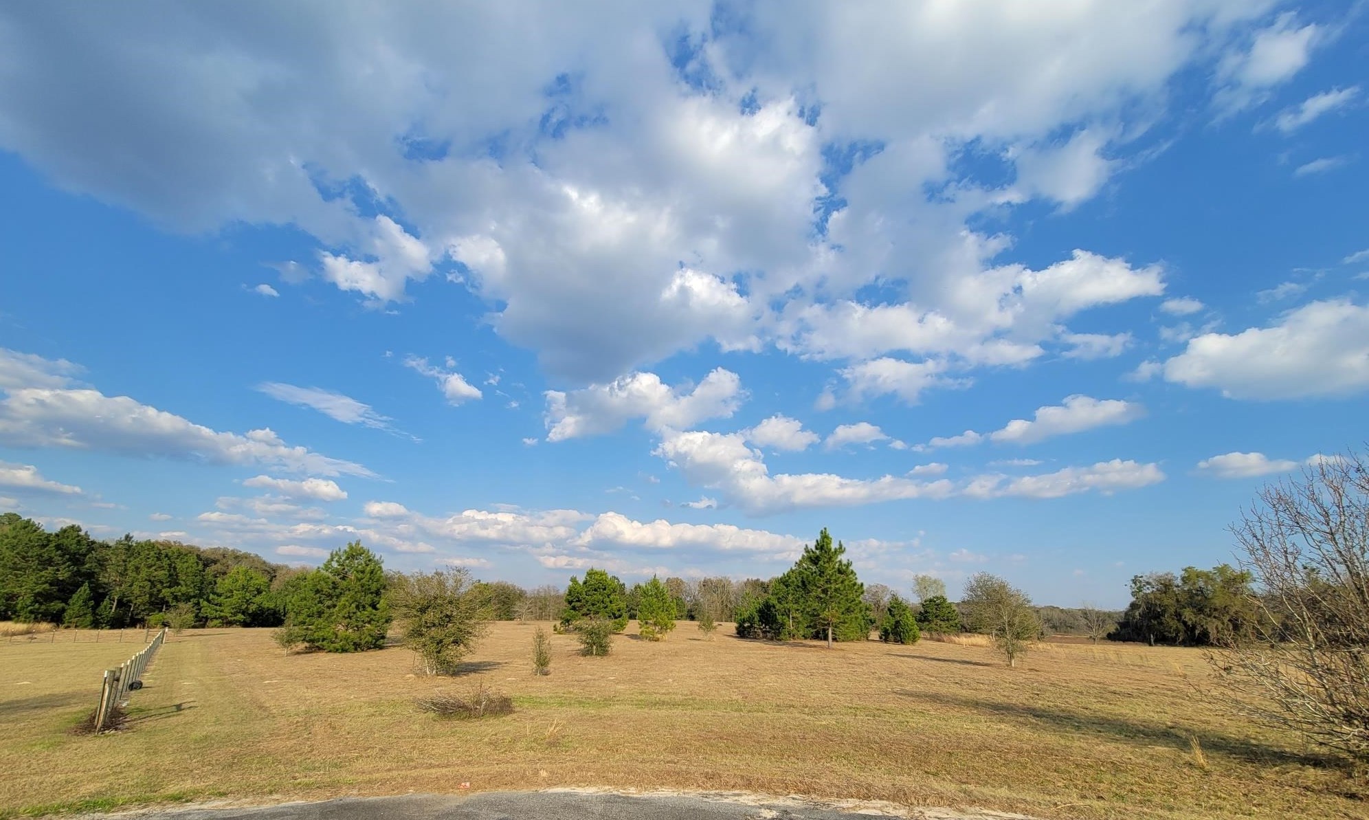 Vacant NW Rolling Hills Drive, Madison, Florida image 20