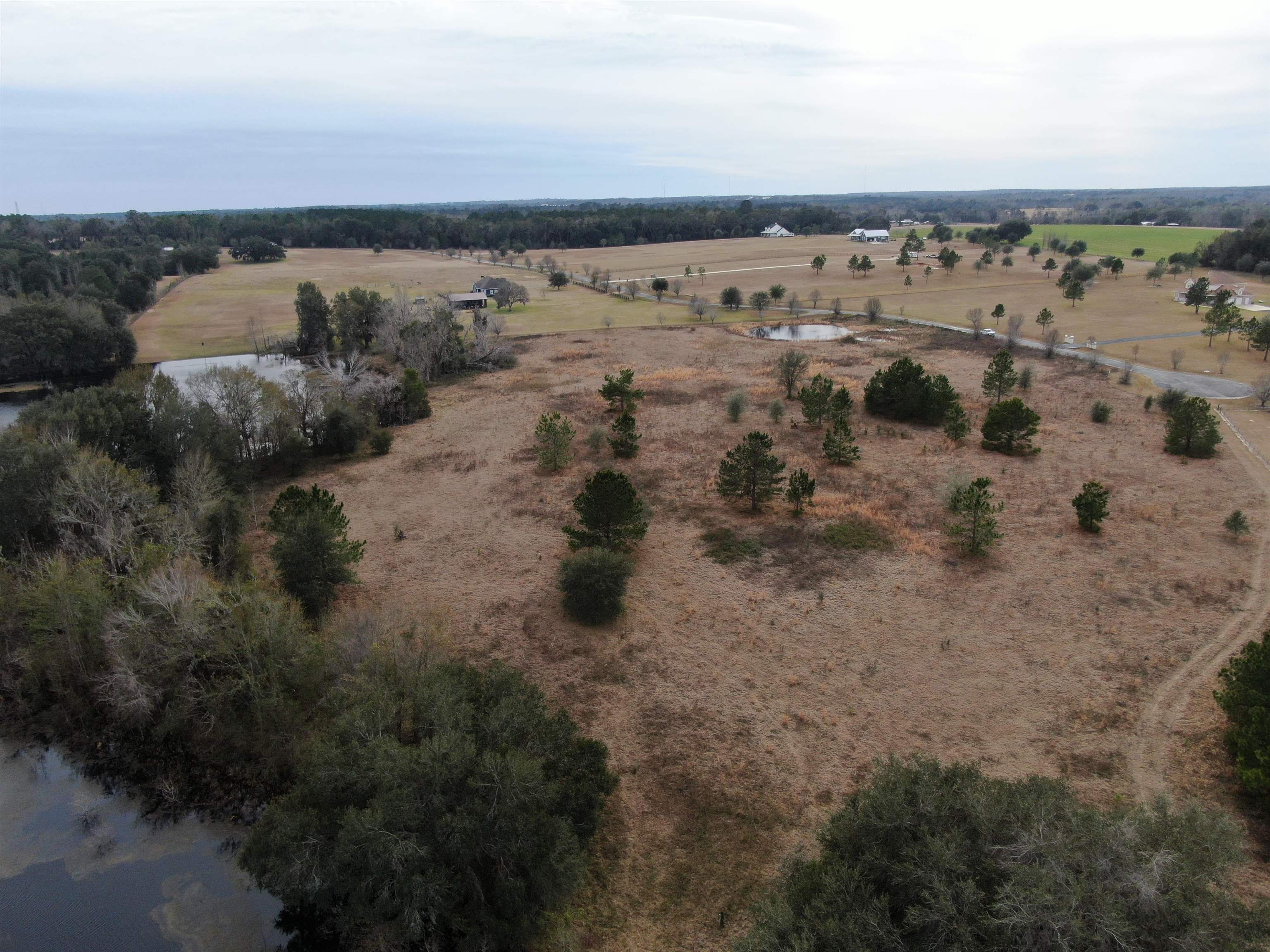 Vacant NW Rolling Hills Drive, Madison, Florida image 27