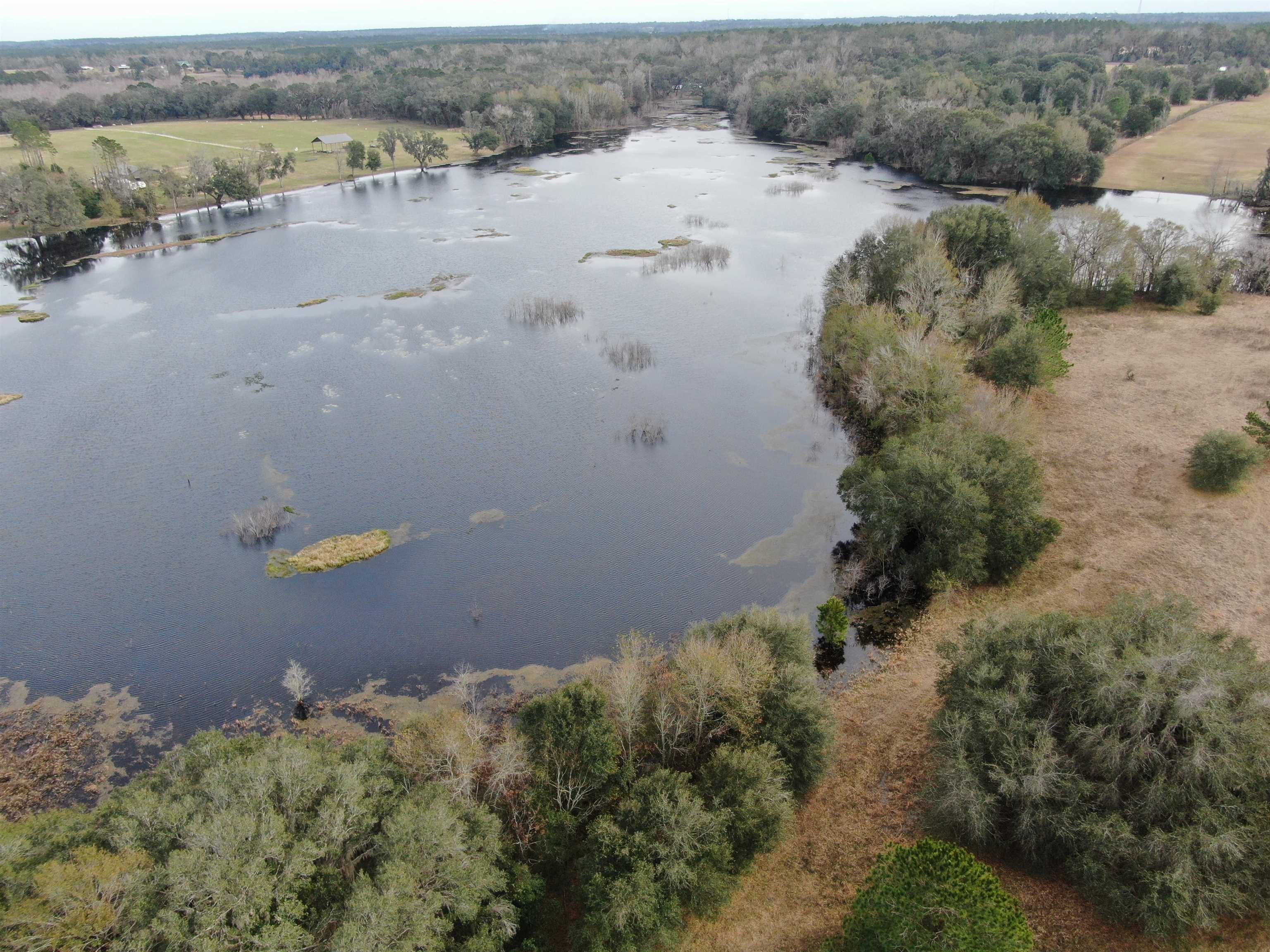 Vacant NW Rolling Hills Drive, Madison, Florida image 28