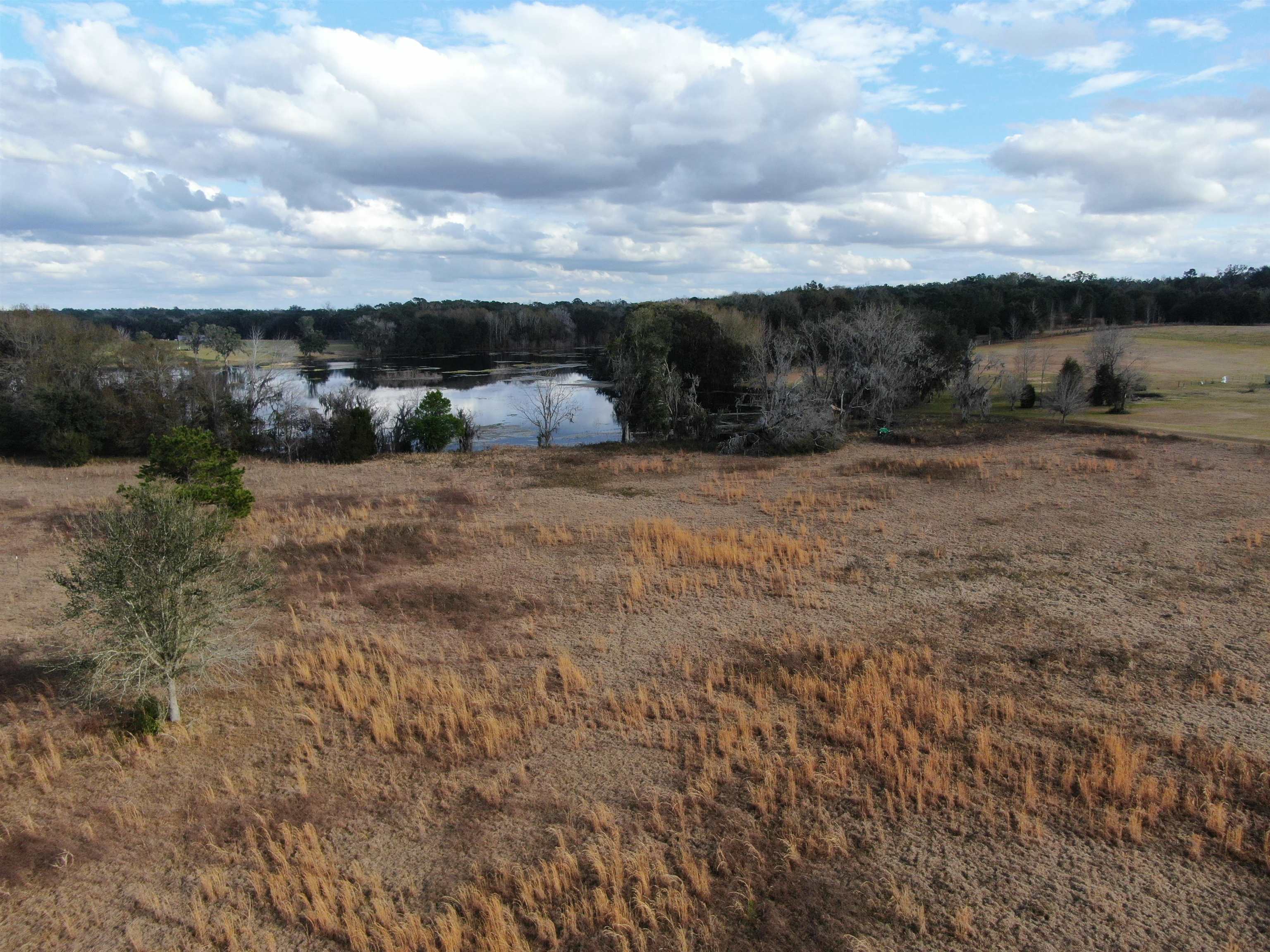 Vacant NW Rolling Hills Drive, Madison, Florida image 29