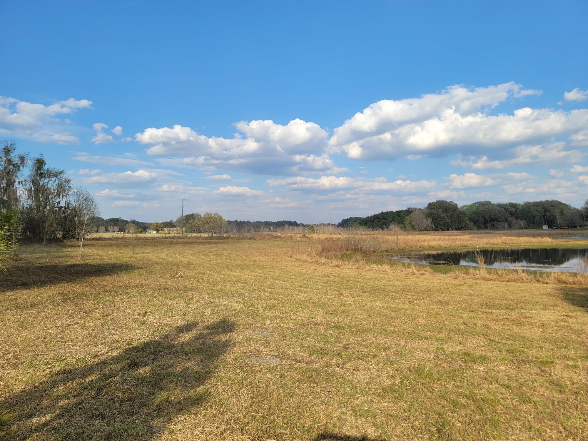 Vacant NW Rolling Hills Drive, Madison, Florida image 3