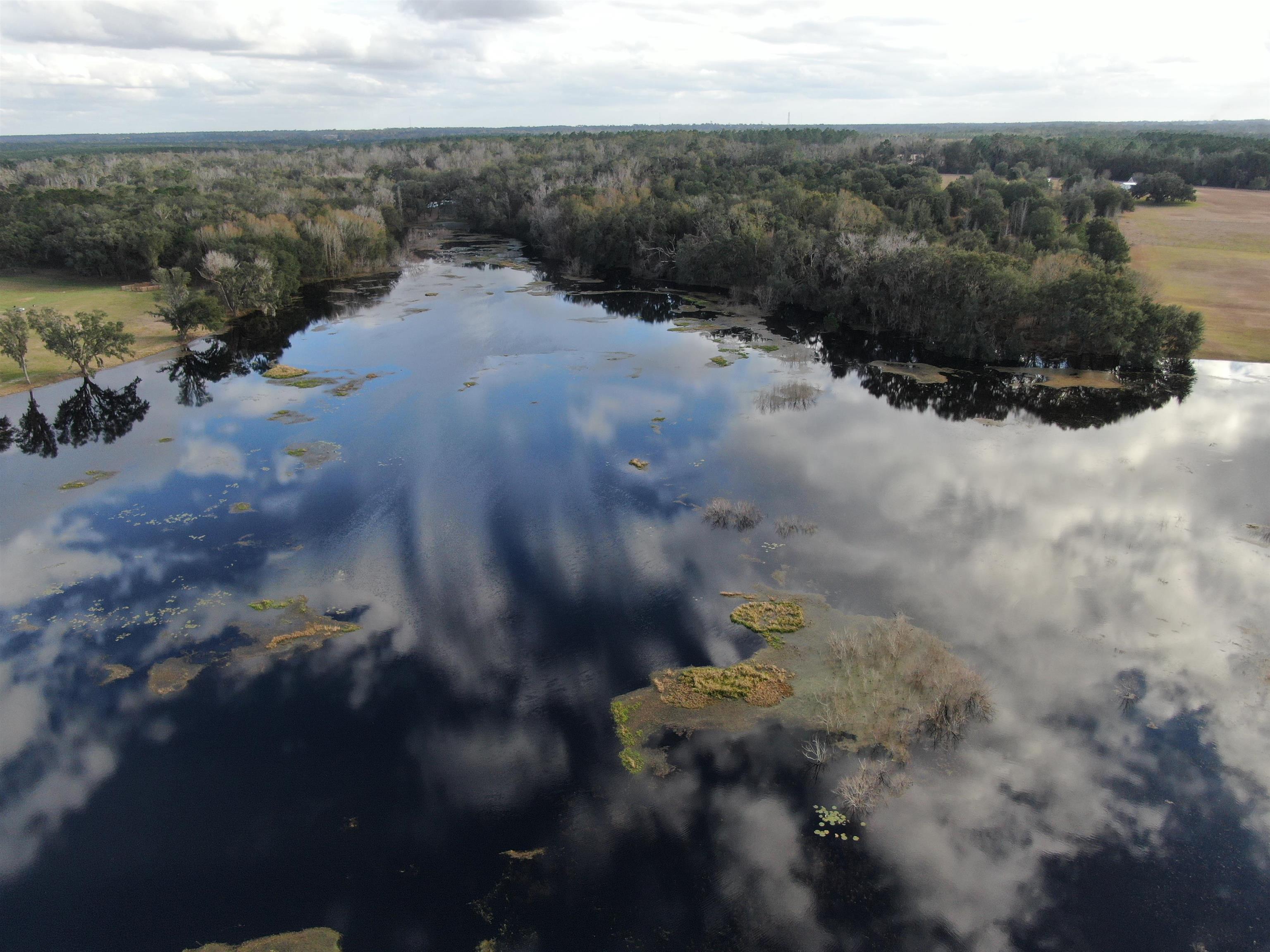 Vacant NW Rolling Hills Drive, Madison, Florida image 34