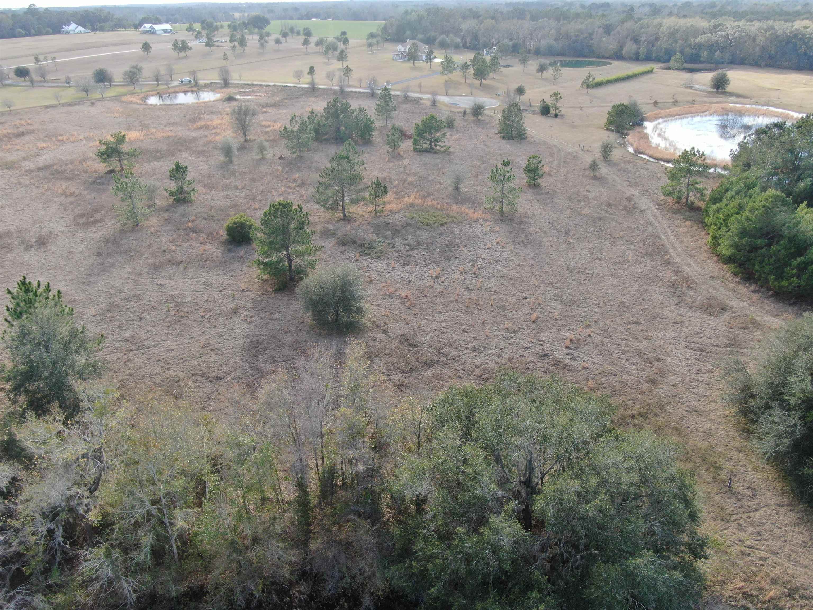 Vacant NW Rolling Hills Drive, Madison, Florida image 35