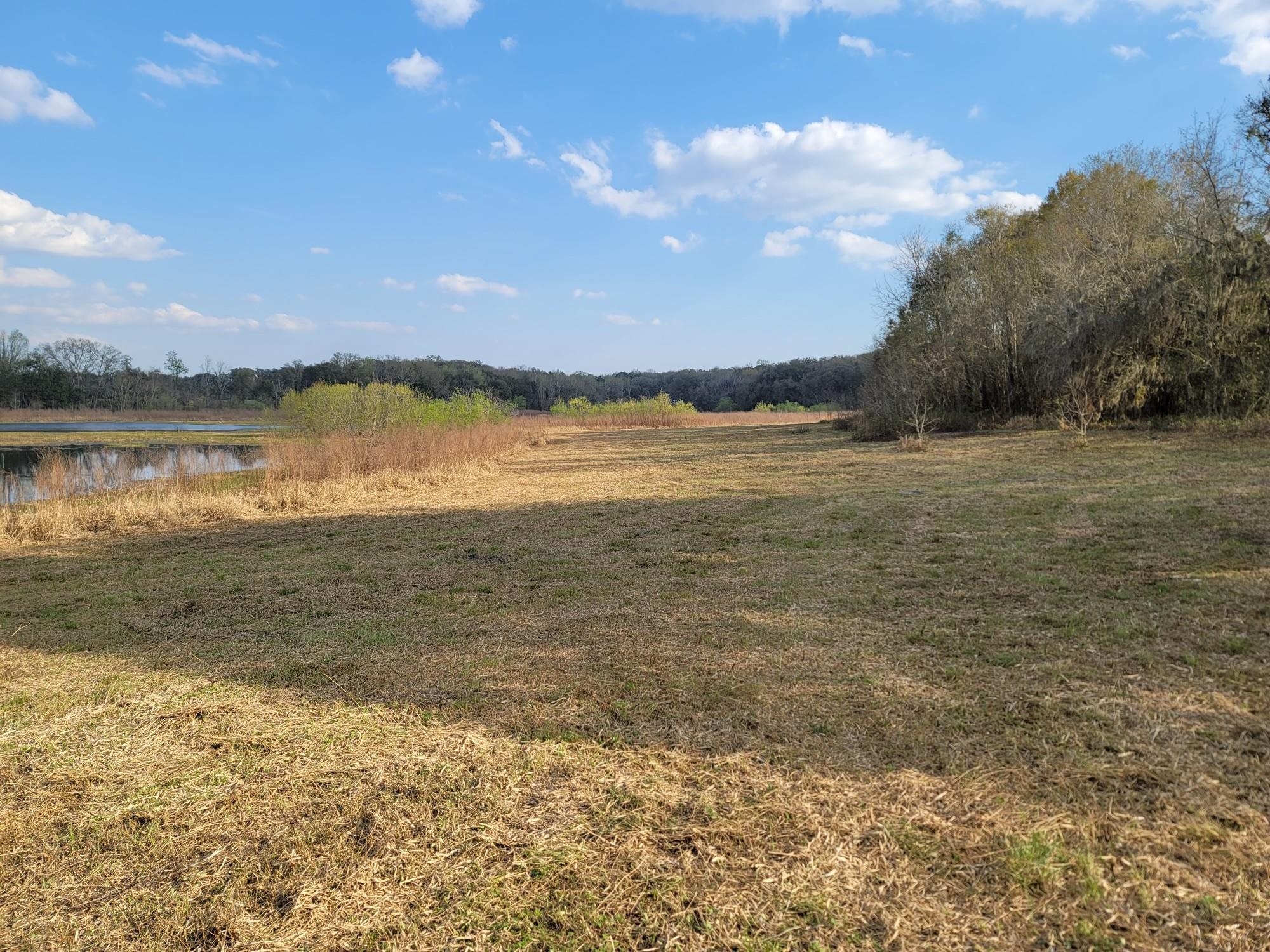 Vacant NW Rolling Hills Drive, Madison, Florida image 6