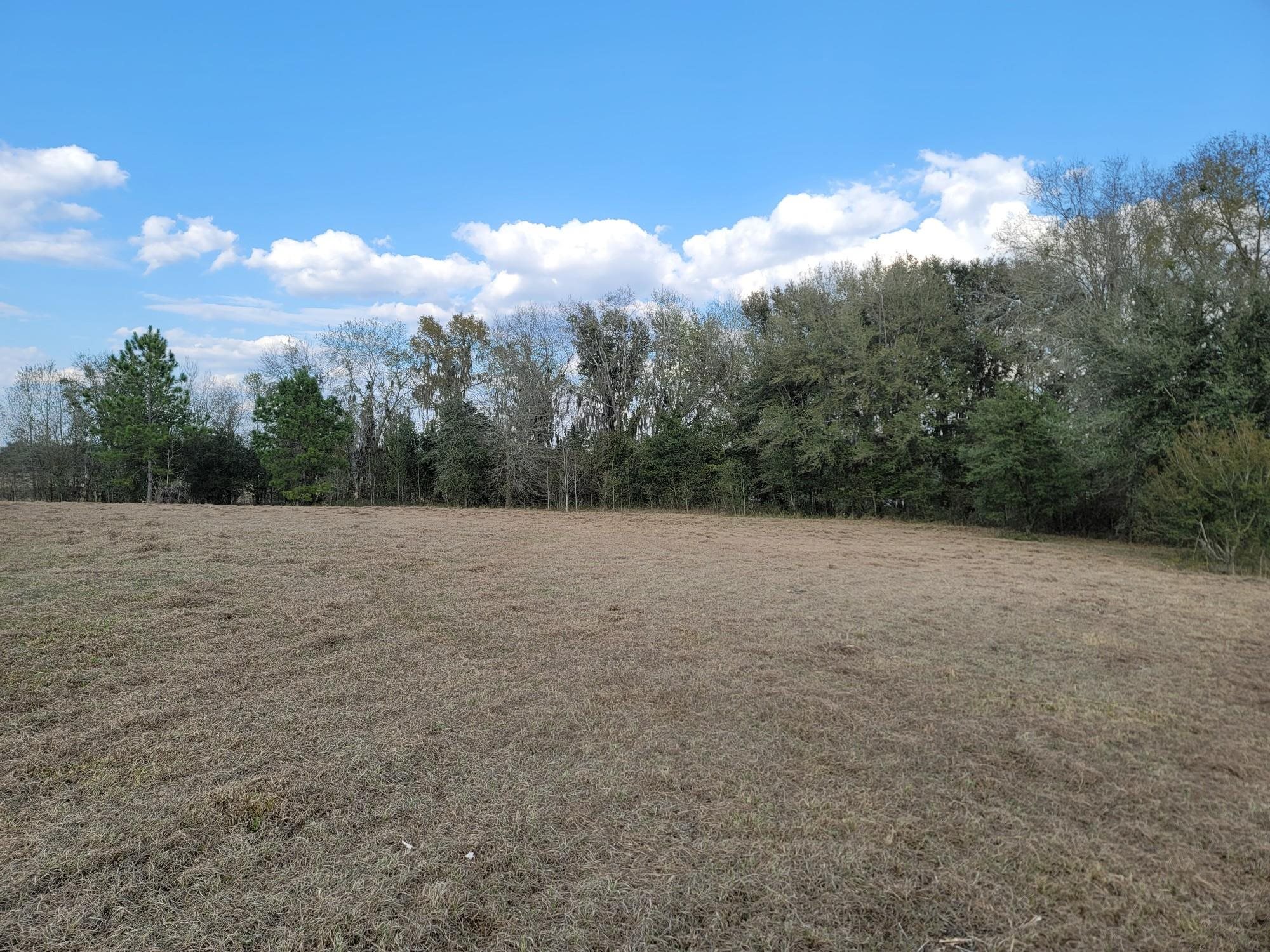 Vacant NW Rolling Hills Drive, Madison, Florida image 7