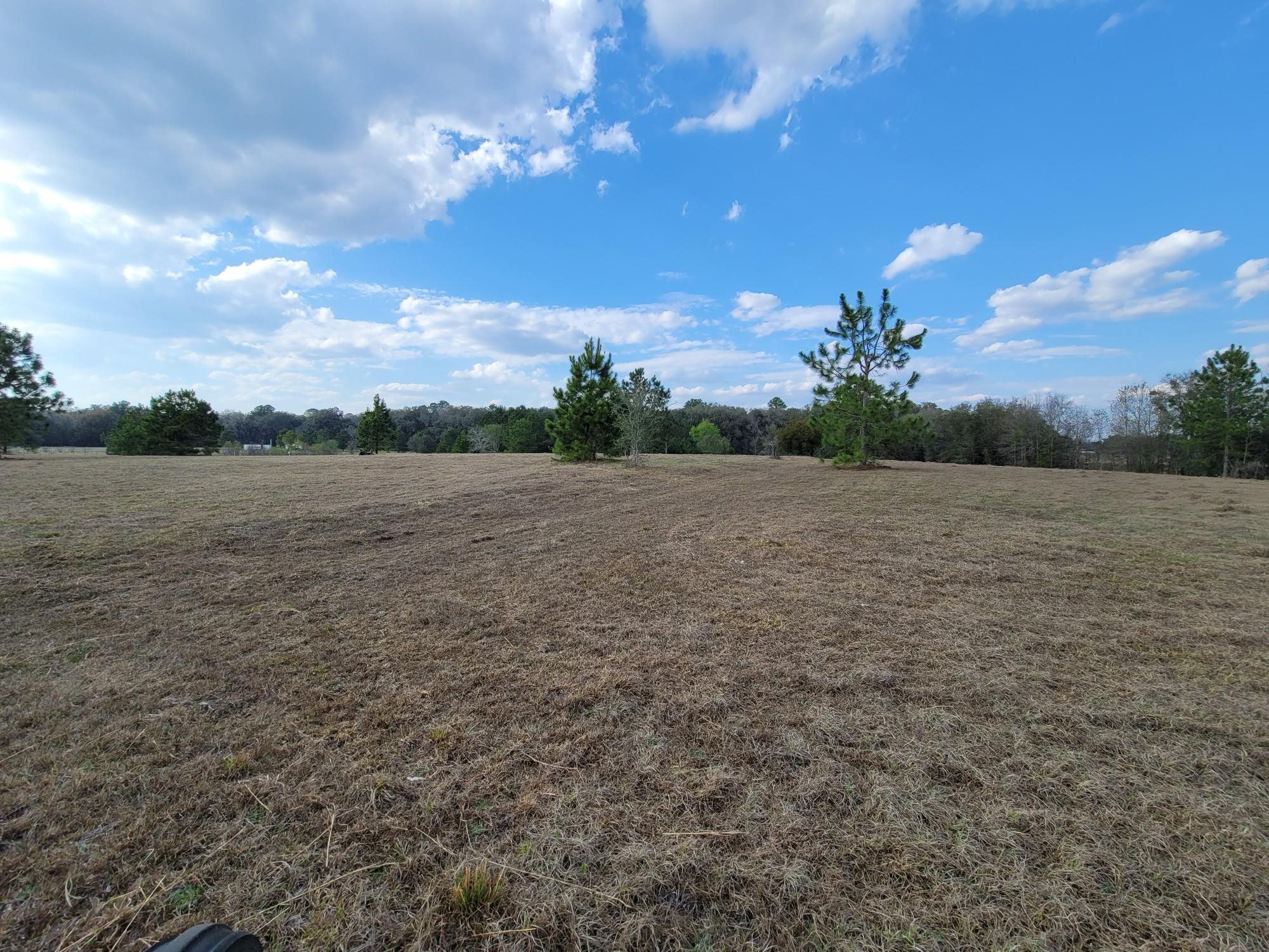 Vacant NW Rolling Hills Drive, Madison, Florida image 9