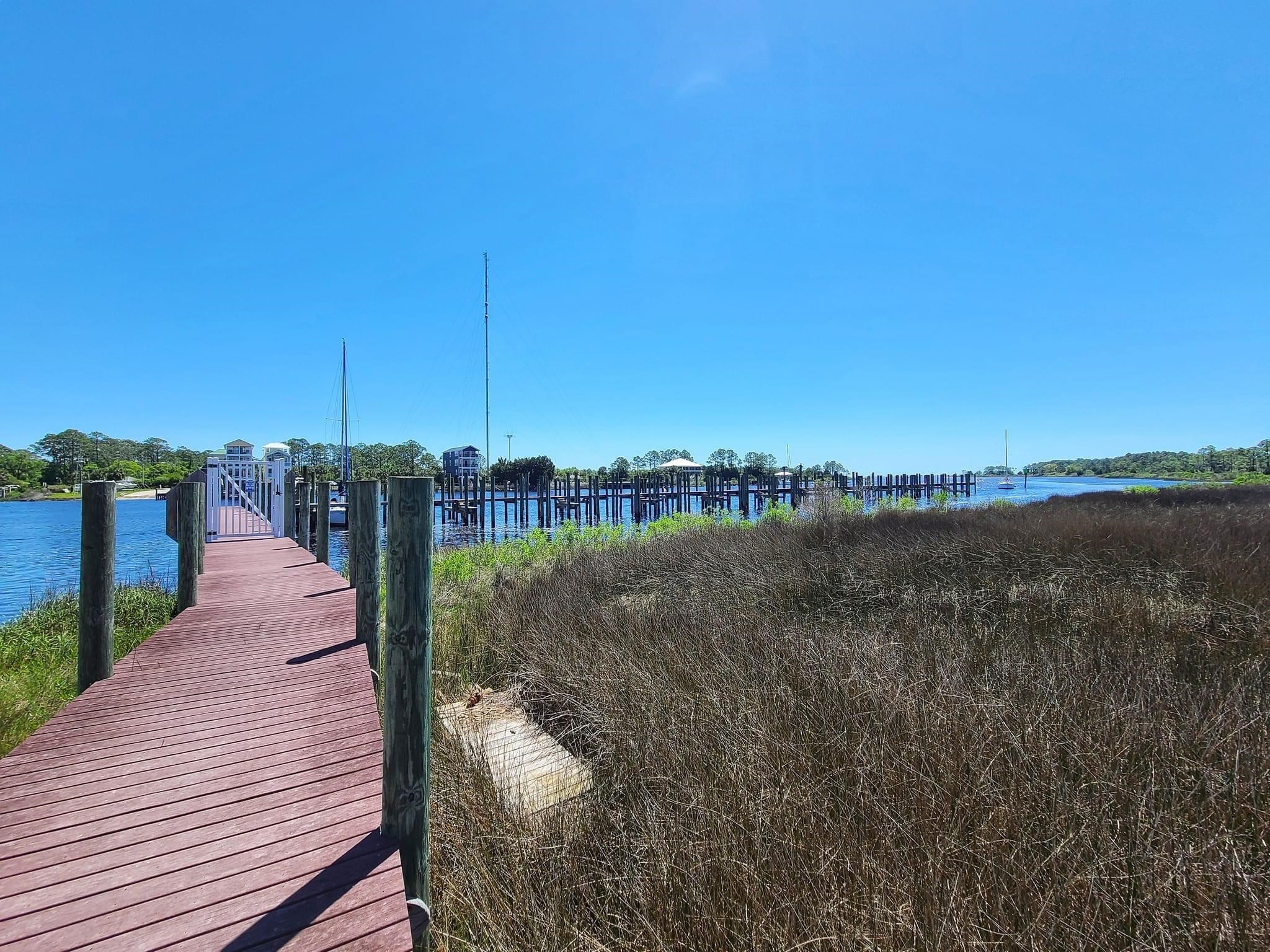 327 East Pass Landing, Carrabelle, Florida image 7