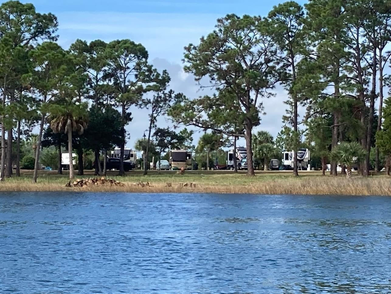 327 East Pass Landing, Carrabelle, Florida image 8